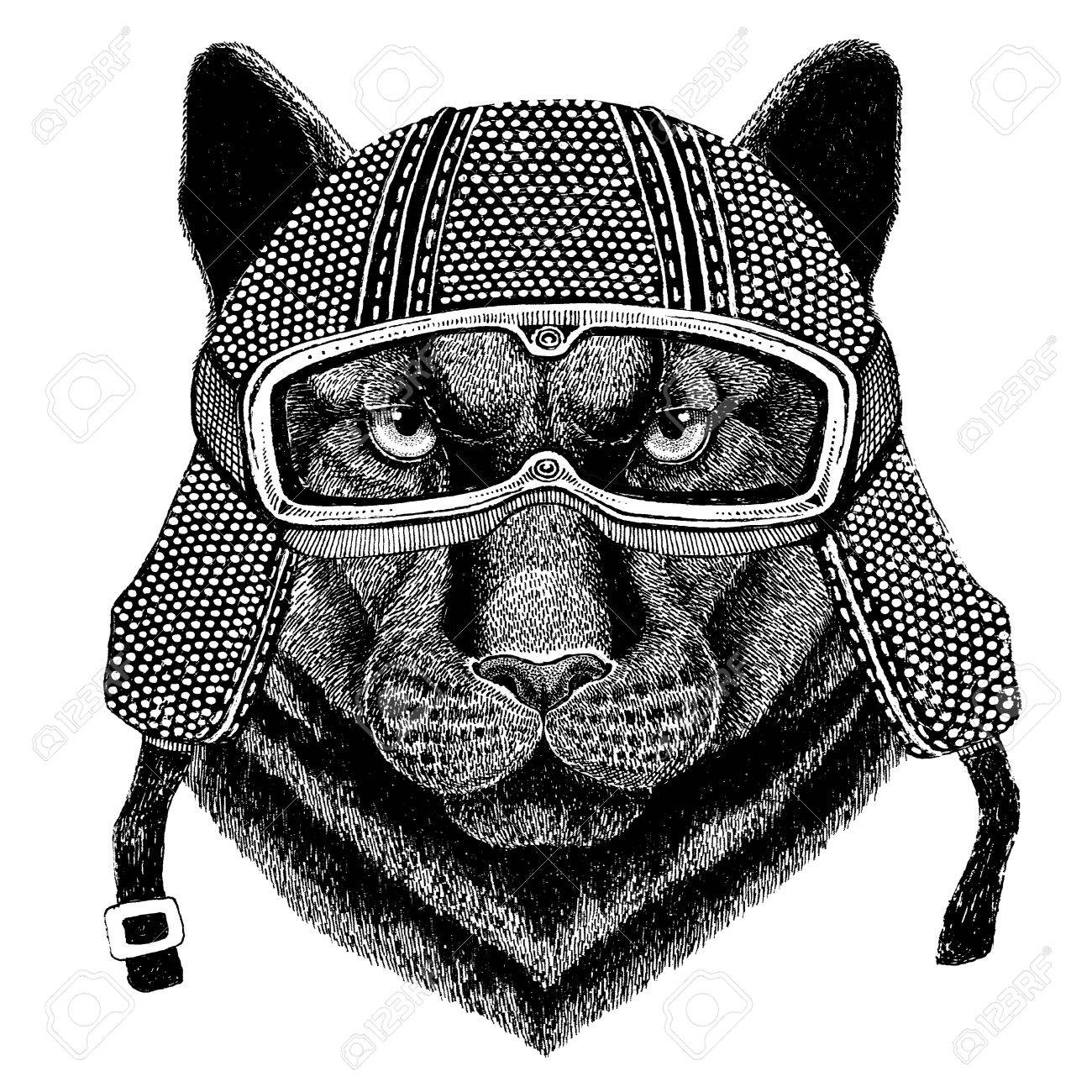 patch puma patch puma