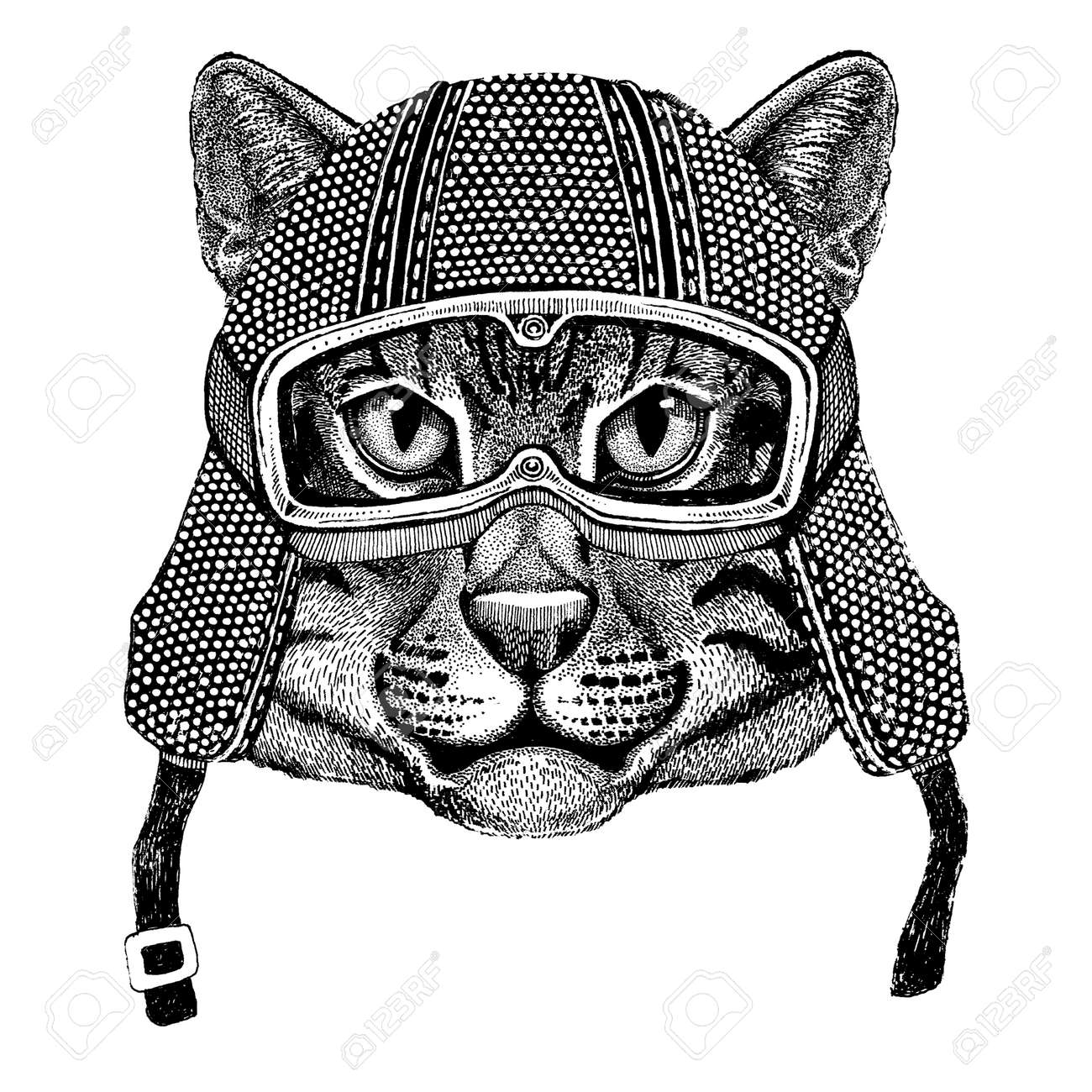 Chat Sauvage Chat Porter Casque Moto Vintage Tatouage Insigne Embleme Logo Patch T Shirt Banque D Images Et Photos Libres De Droits Image