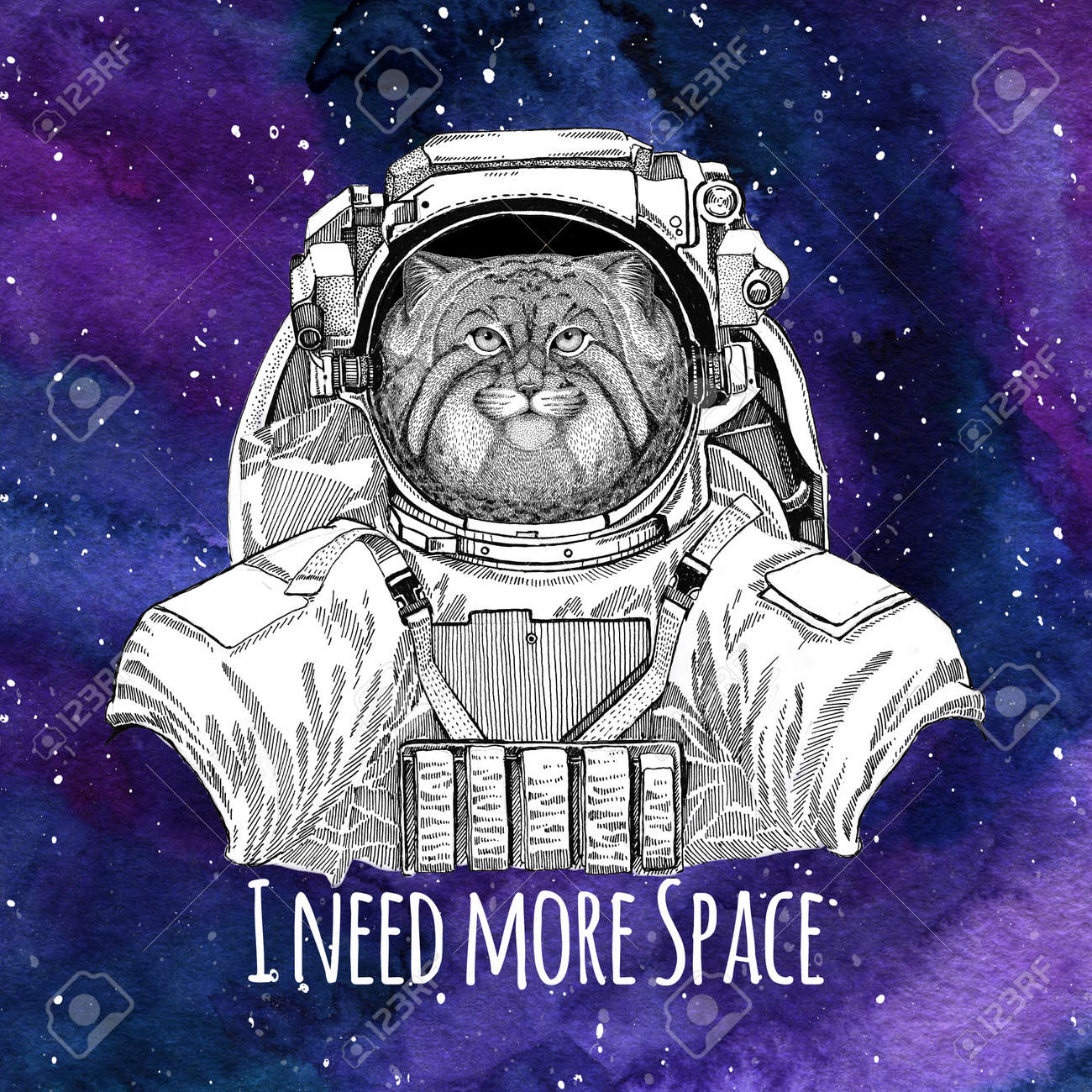 動物の宇宙飛行士野生猫星と星雲水彩銀河背景マヌルネコ着て宇宙服銀河宇宙背景 の写真素材 画像素材 Image