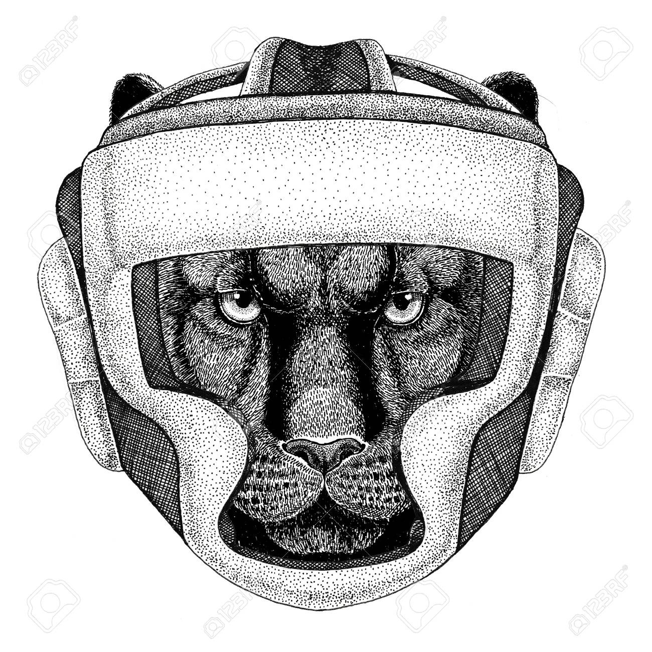 puma cat boxer puma cat boxer
