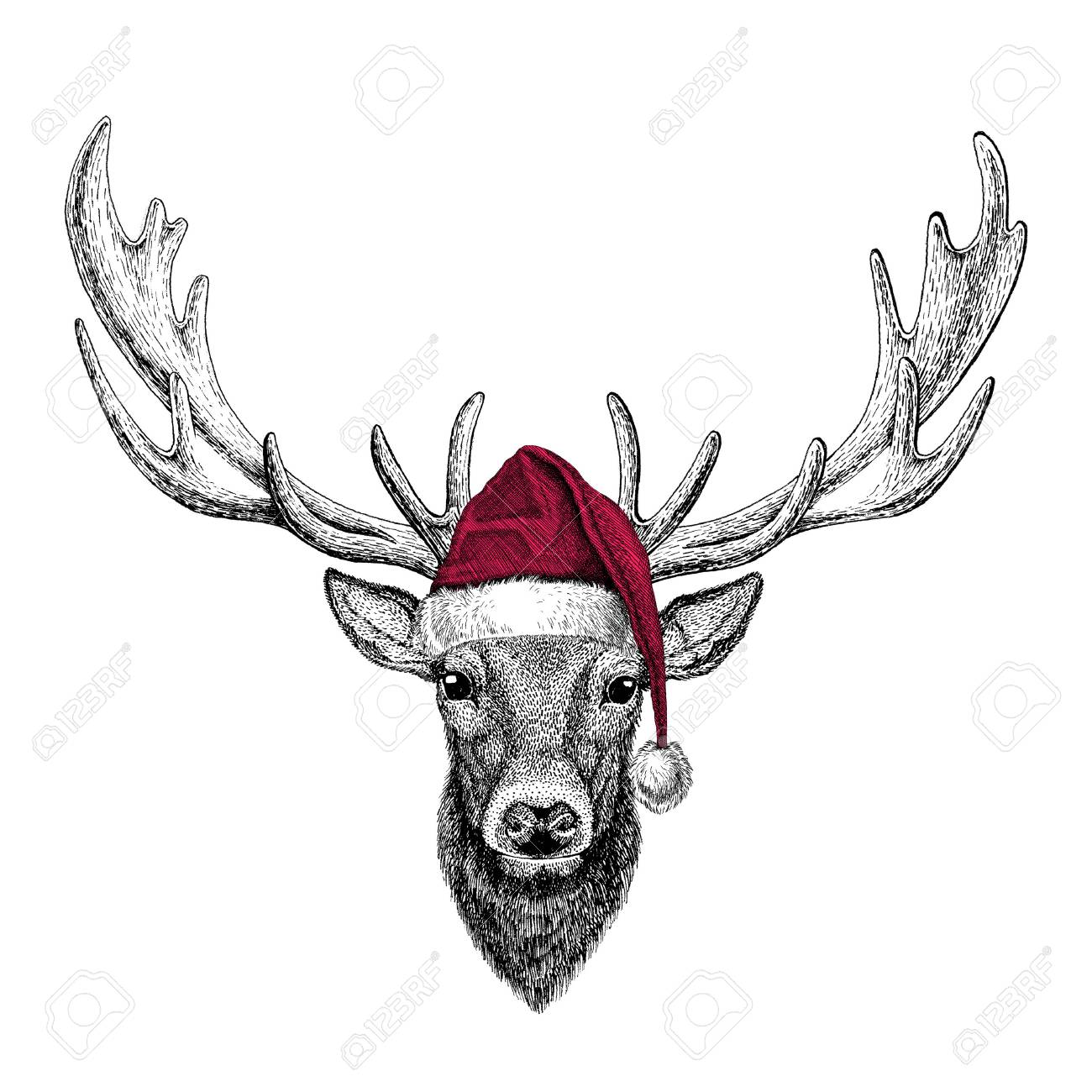 Christmas illustration Wild animal wearing christmas santa claus hat Red winter hat Holiday picture Happy new year - 81961973 Christmas illustration Wild animal wearing christmas santa claus hat Red winter hat Holiday picture Happy new year - 81961973