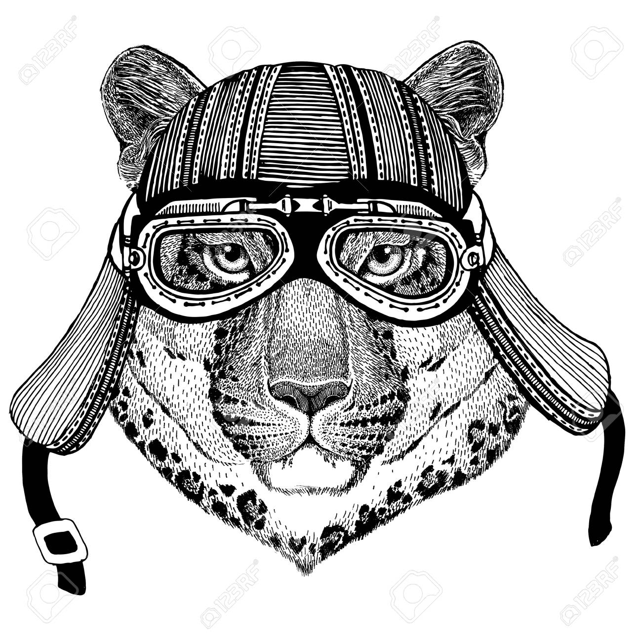 Wild cat Leopard Cat-o-mountain Panther Wild animal wearing biker motorcycle aviator fly club helmet Illustration for tattoo, emblem, badge, logo, patch - 82163361 Wild cat Leopard Cat-o-mountain Panther Wild animal wearing biker motorcycle aviator fly club helmet Illustration for tattoo, emblem, badge, logo, patch - 82163361