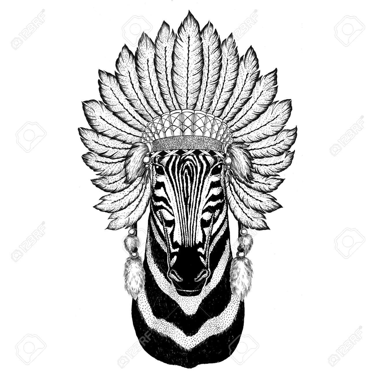 Animal sauvage zèbre portant chapeau indiat avec plumes Illustration vintage de gravure style boho Image pour