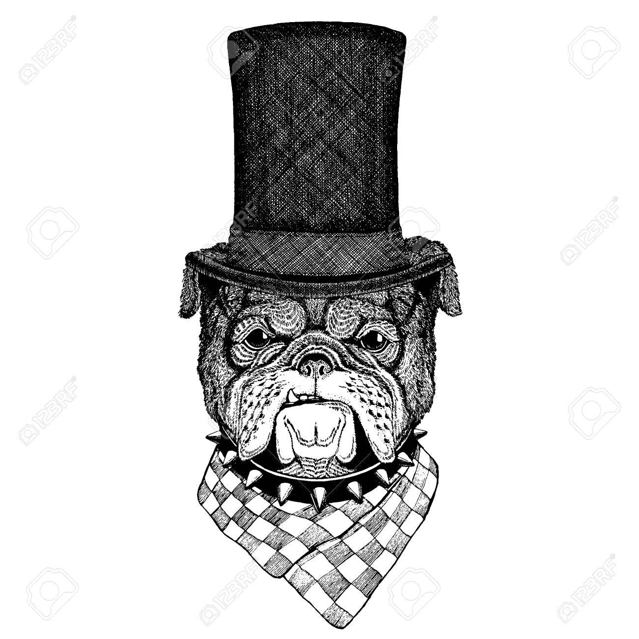 dog top hat
