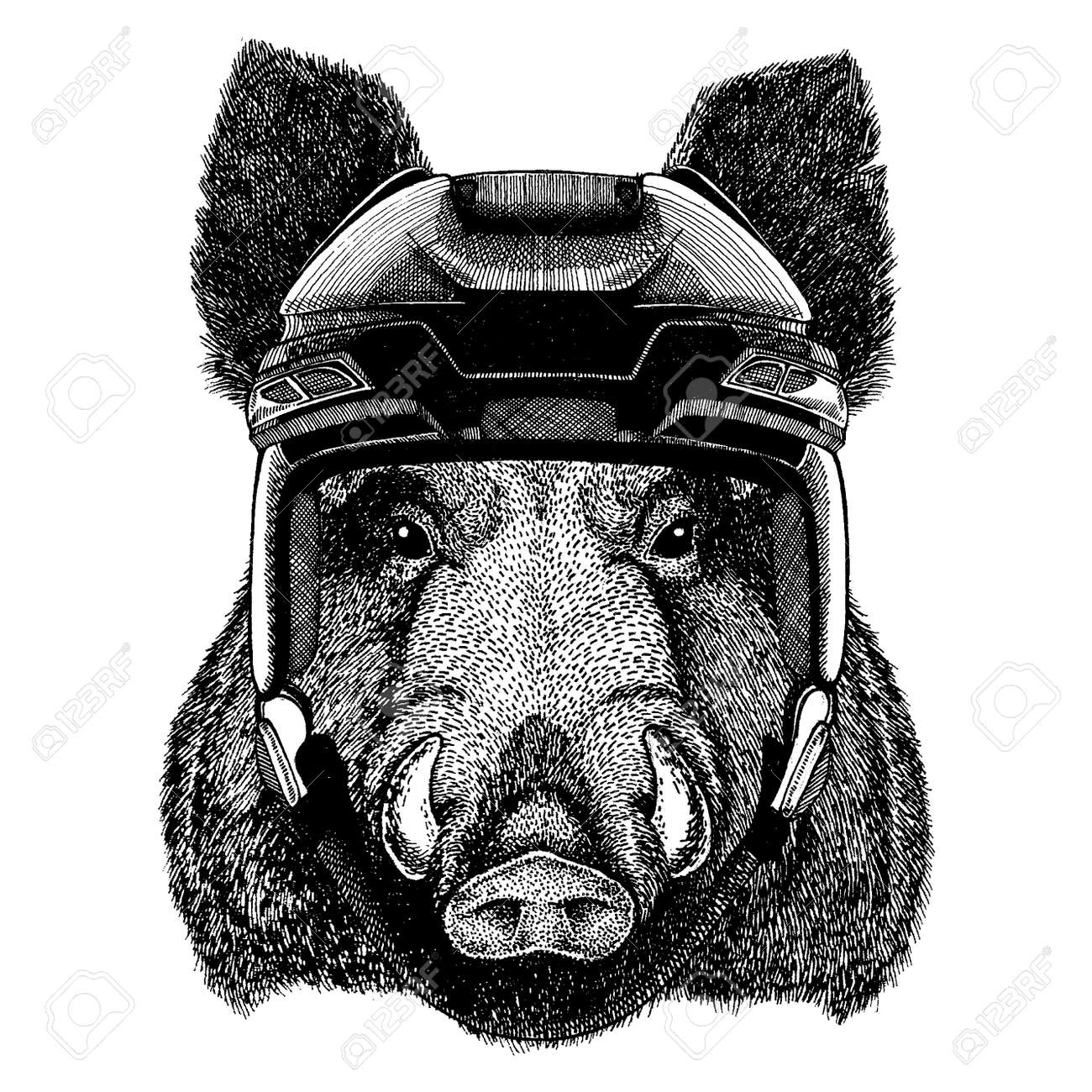 Aper, Boar, Hog, Wild Boar, Animal Wearing Hockey Helmet. Hand Drawn Image  Of Lion For Tattoo, T-shirt, Emblem, Badge, Logo, Patch. Royalty Free SVG,  Cliparts, Vectors, and Stock Illustration. Image 120708319., image size:1300x1300