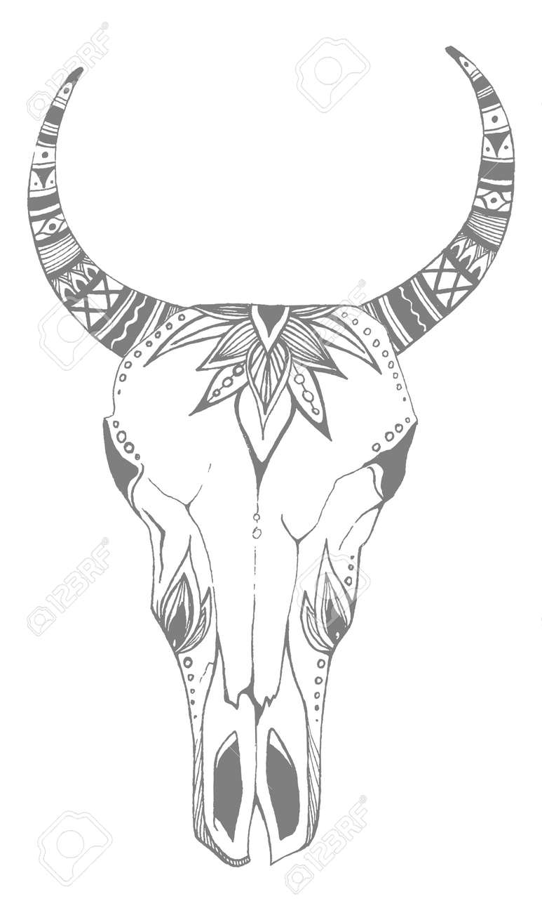 Cow, buffalo, bull skull in tribal style with flowers. Bohemian, boho vector illustration. Wild and free ethnic gypsy symbol. - 140973886 Cow, buffalo, bull skull in tribal style with flowers. Bohemian, boho vector illustration. Wild and free ethnic gypsy symbol. - 140973886