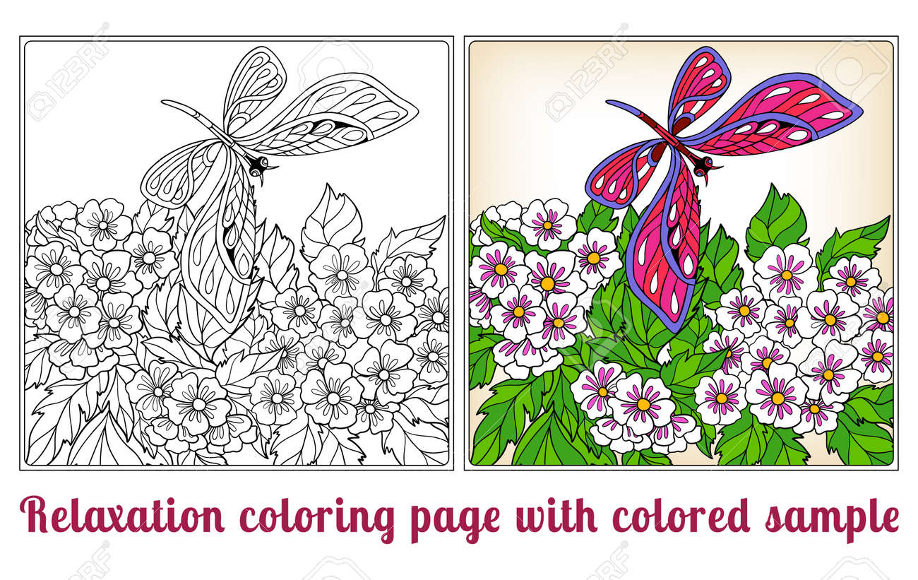 Fleurs Décoratives Les Oiseaux Et Les Papillons Livre à Colorier Pour Les Adultes Et Les Enfants Plus âgés Coloriage Avec Un échantillon De