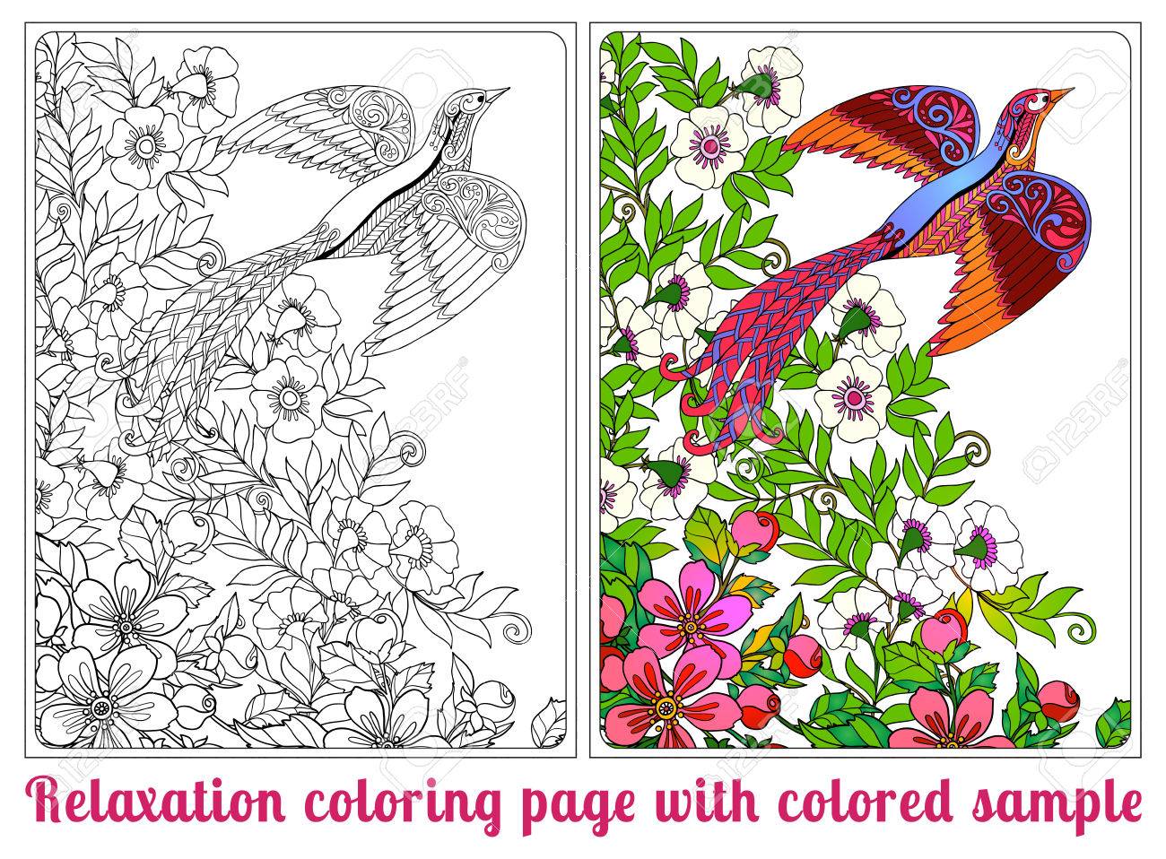 44 Coloring Book With Sample HD