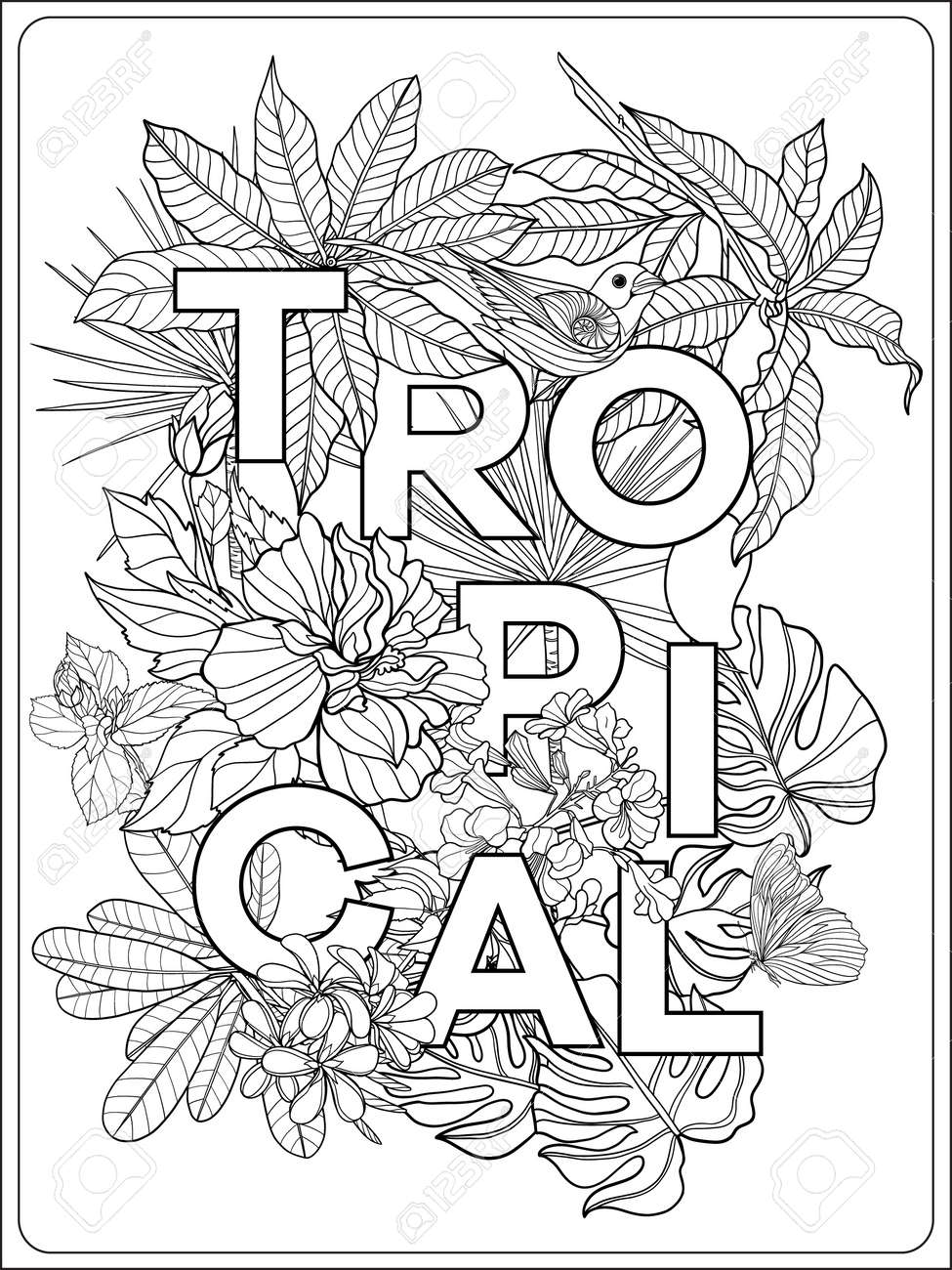 常夏 のコラージュ熱帯野鳥と言葉を持つ花 アウトラインのベクター イラストです 大人およびより古い子供のための塗り絵 ページを着色 のイラスト素材 ベクタ Image