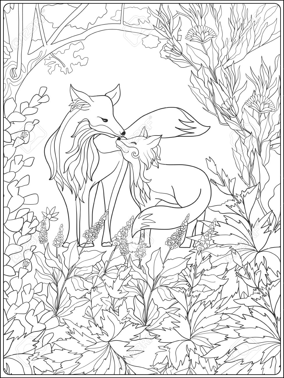 Livre Colorier Pour Les Adultes Et Les Enfants Plus ¢gés livre colorier pour les adultes et les enfants plus ¢gés Coloriage avec belle renard