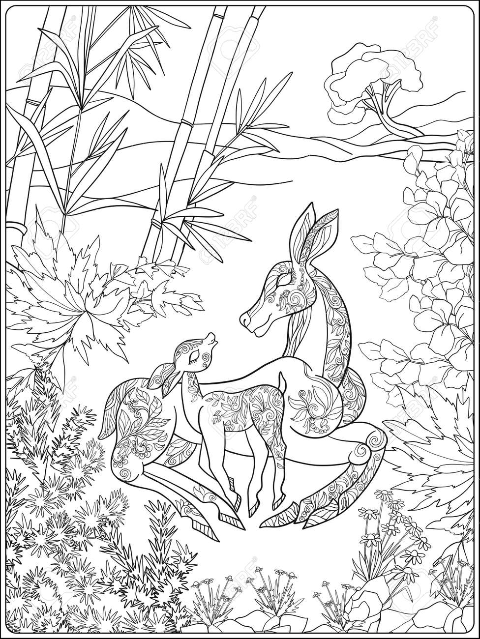 coloring book for adult and older children page with lovely mother deer her small fawn in the garden royalty free cliparts vectors stock illustration image 60503721 lettre m pour coloriage lune