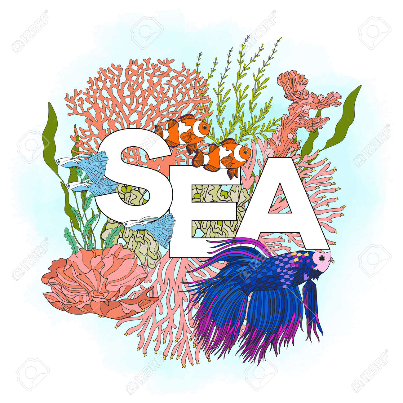 サンゴや魚と言葉の海とサンゴ礁 カード バナー 色ベクトル イラスト の写真素材 画像素材 Image