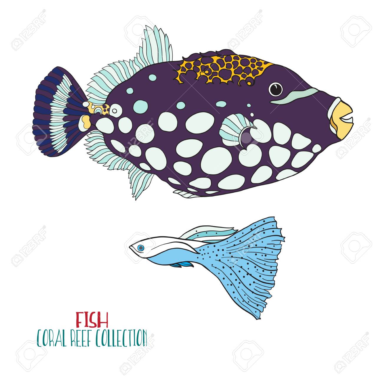 サンゴ礁のコレクションです 海や水族館の魚 色ベクトル イラスト の写真素材 画像素材 Image
