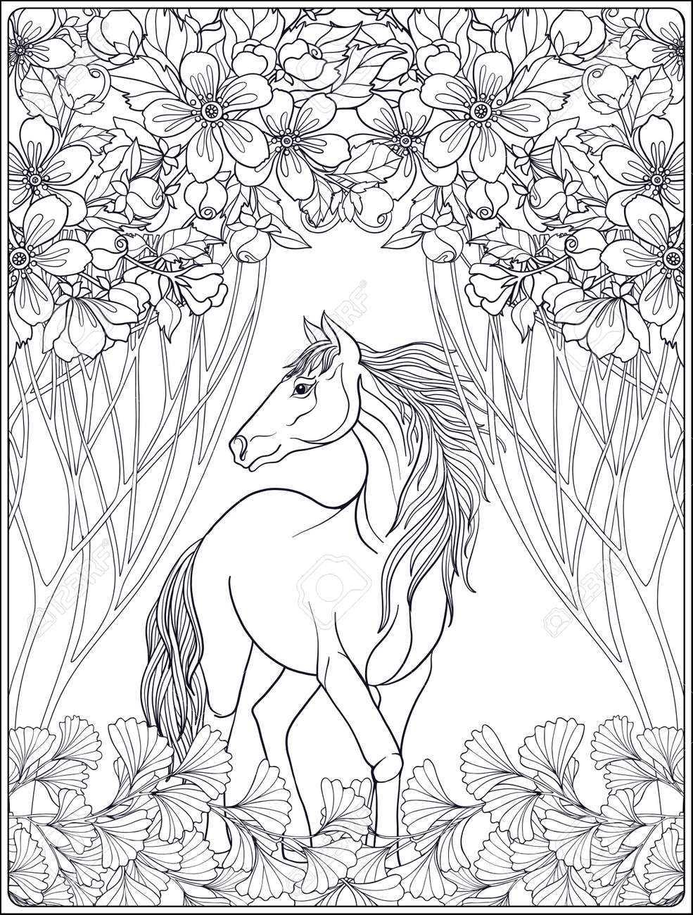 cheval dans le jardin vector illustration livre a colorier pour les adultes et enfants plus ages outline dessin de coloriage page clip art libres droits vecteurs image 62902624 britannique