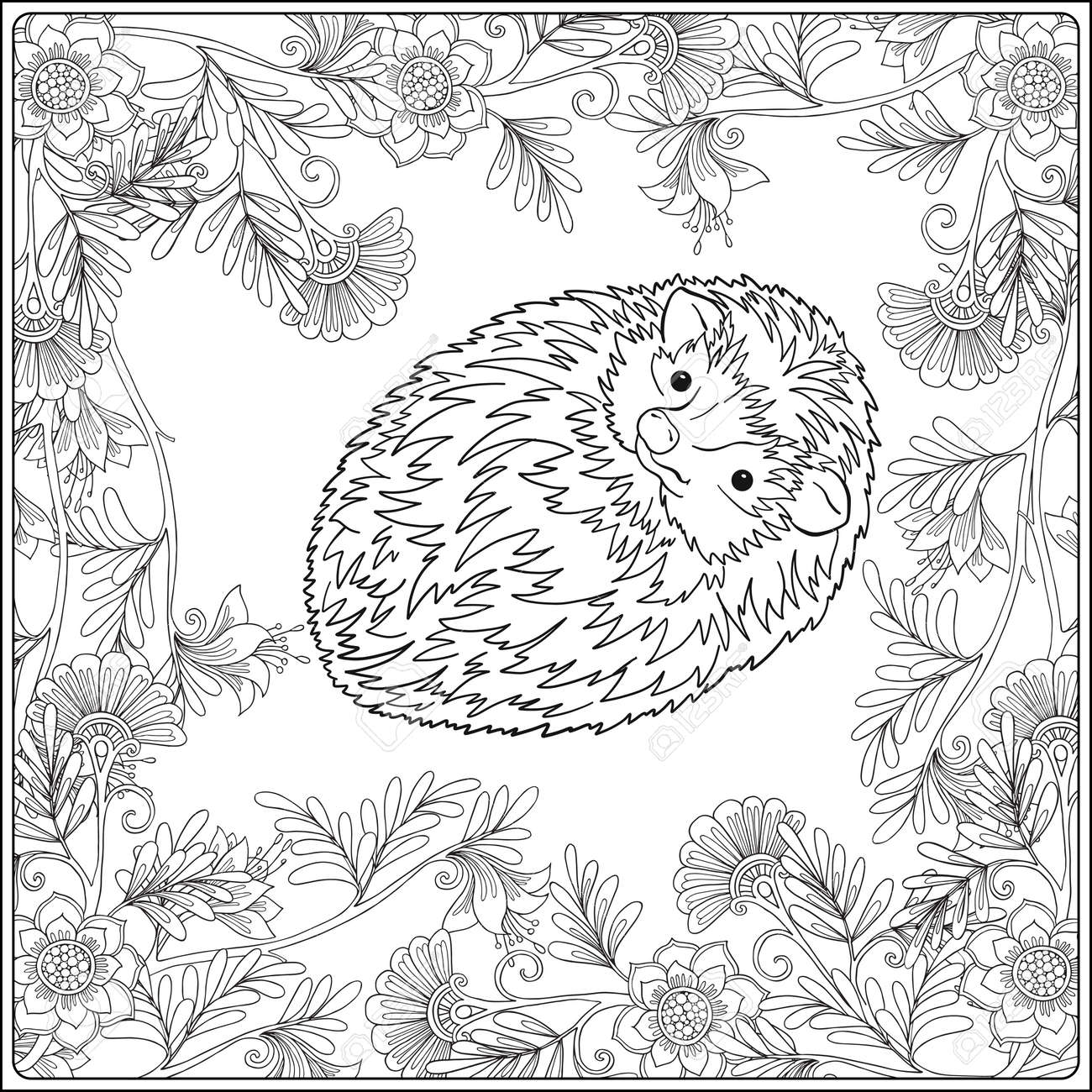 Coloring Page With Lovely Hedgehog In The Garden Book For Adult And Older Children