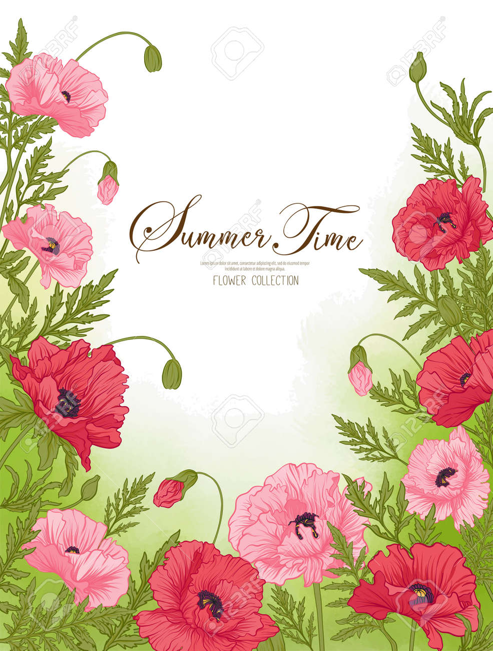 夏タイム カード赤と緑の水彩背景ピンクのポピー ストック ライン ベクトル イラスト のイラスト素材 ベクタ Image