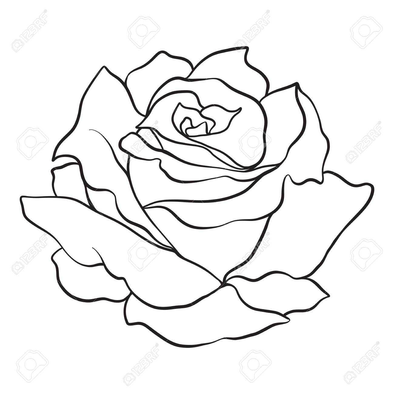 Isolated Rose Outline Drawing Stock Vector Illustration