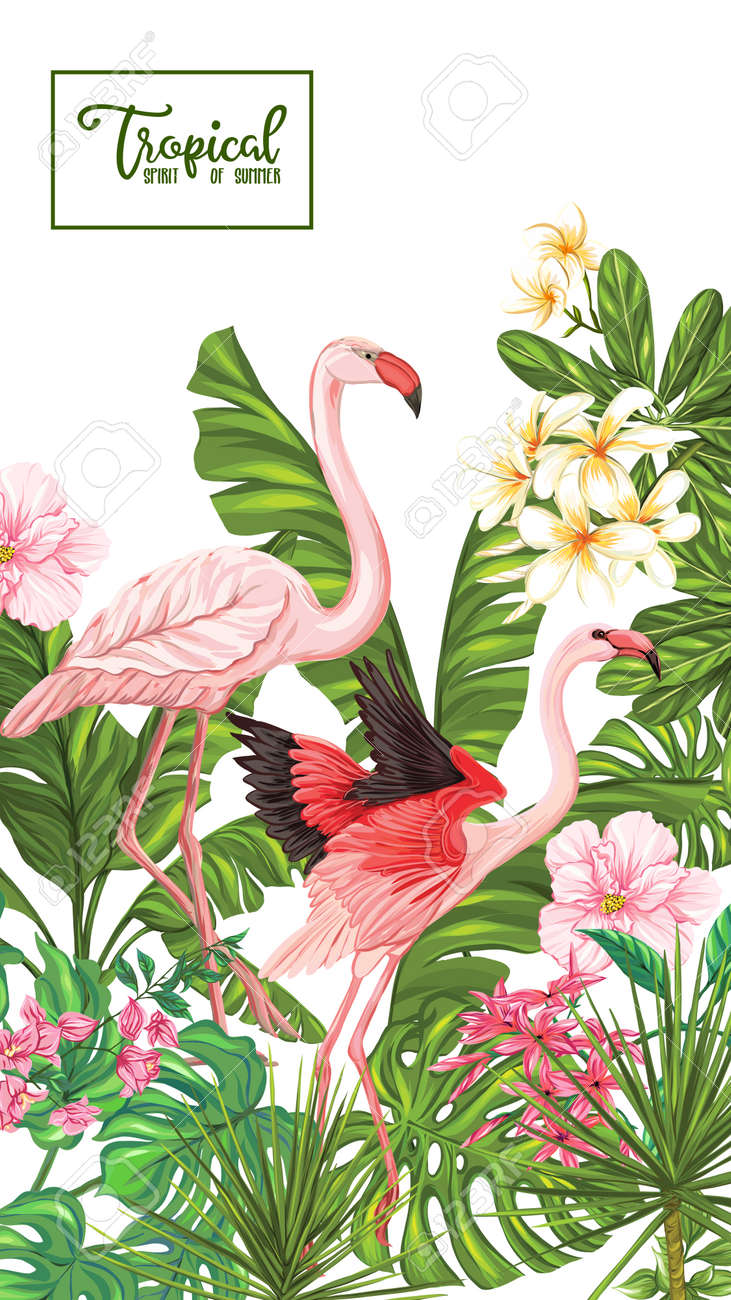 Template of poster, banner, postcard with tropical flowers and plants and flamingo bird on white background. Stock vector illustration. - 108021036 Template of poster, banner, postcard with tropical flowers and plants and flamingo bird on white background. Stock vector illustration. - 108021036