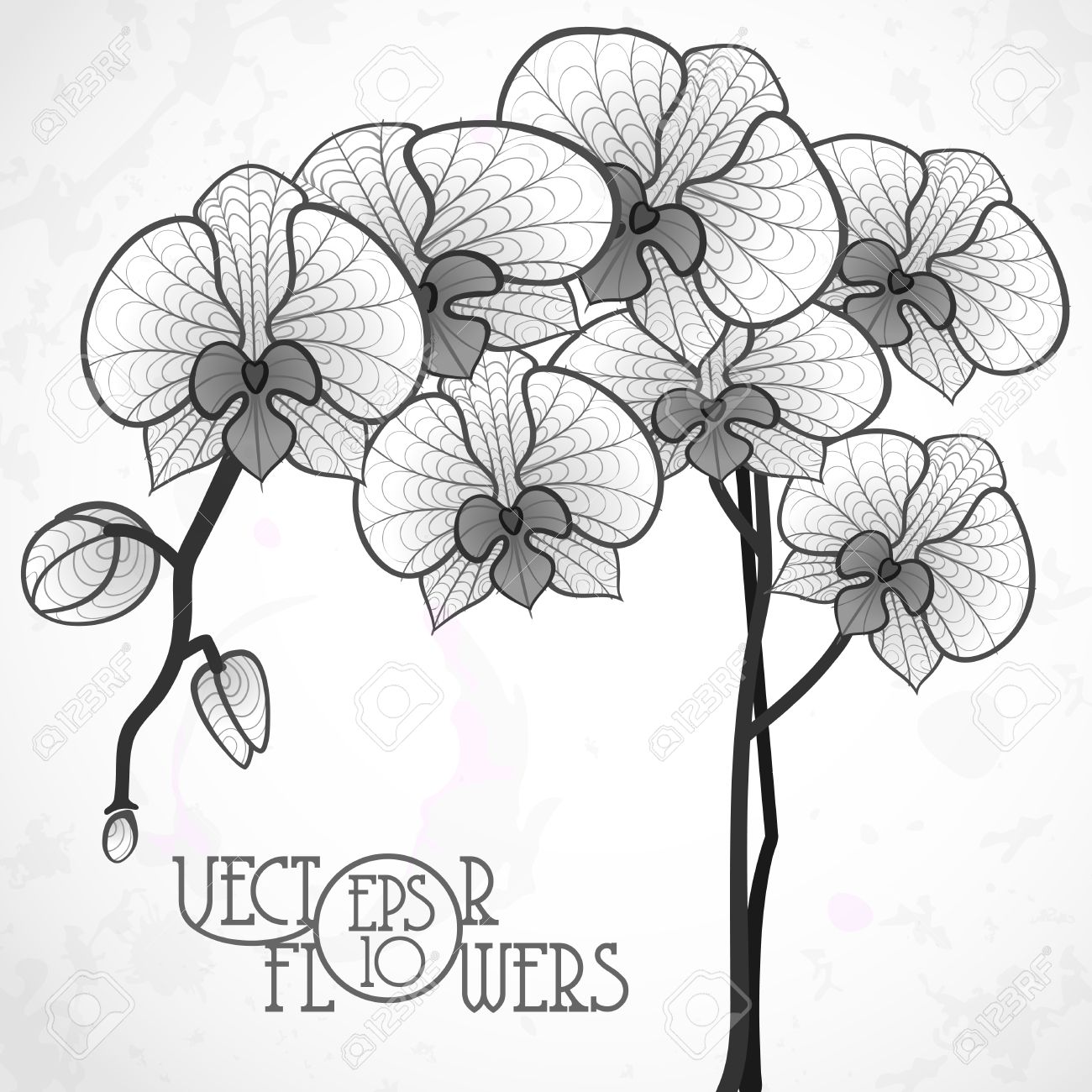 Dessin à La Main Fleur Dorchidée