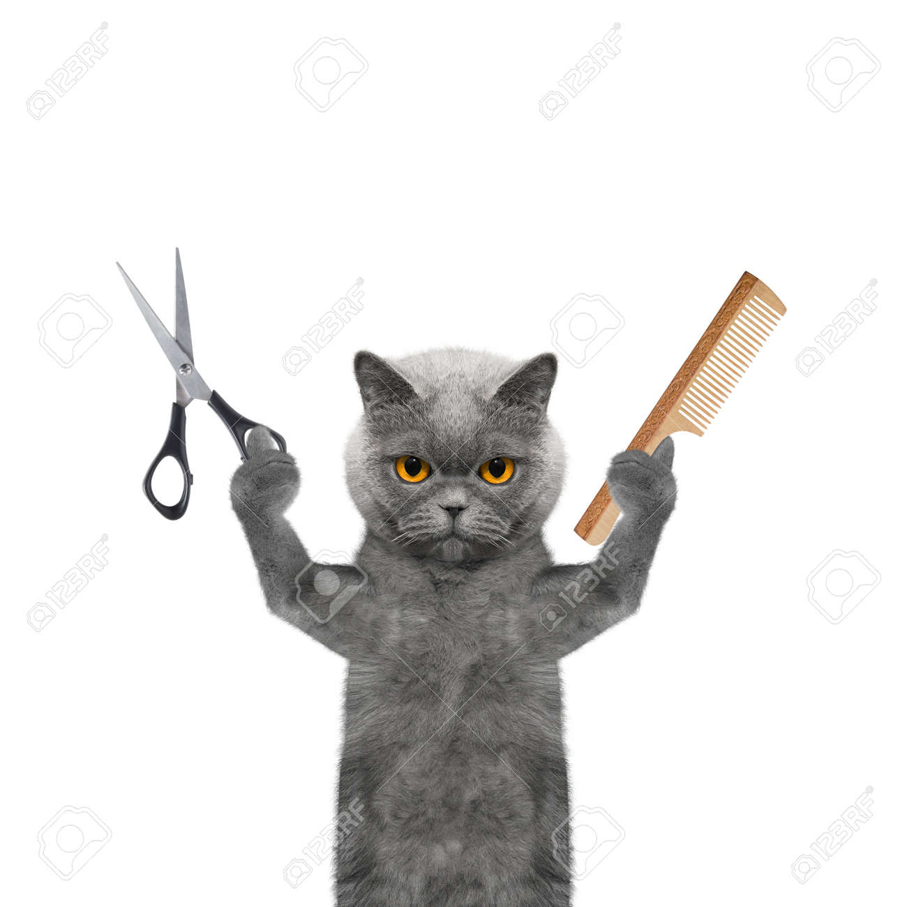cat fur scissors