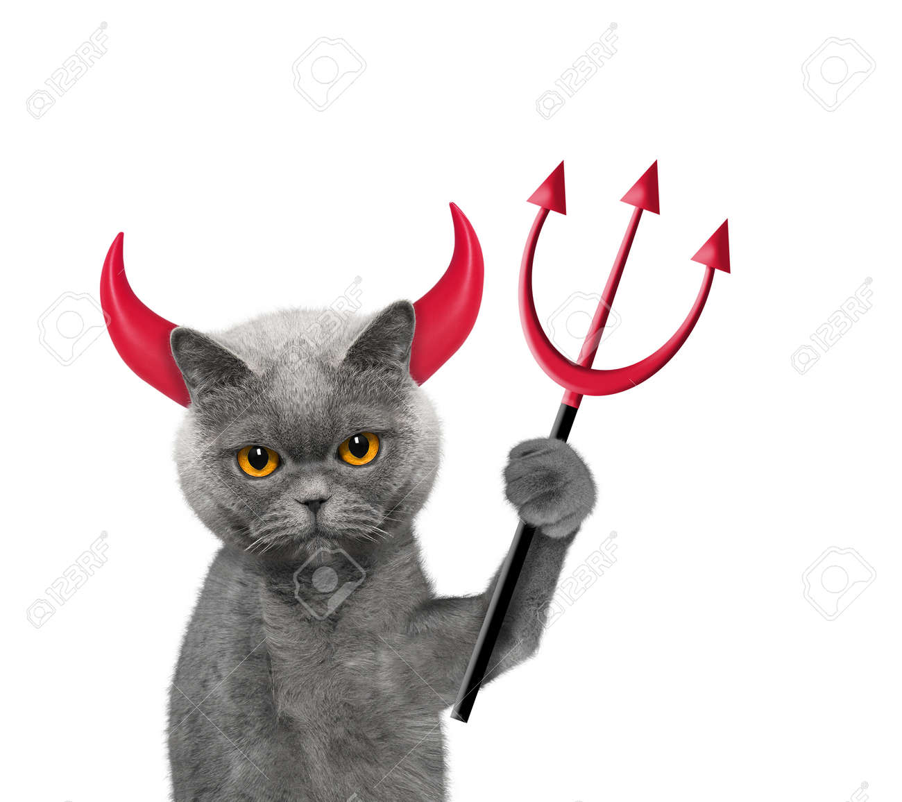 cat devil costume