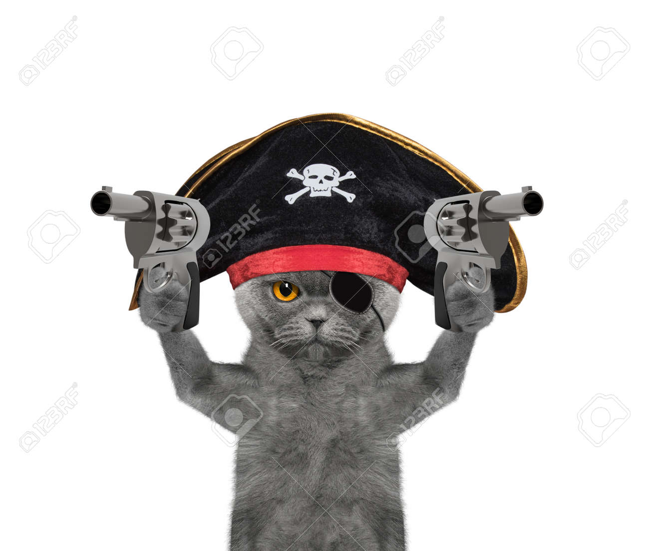 Chat Dans Un Costume De Pirate Avec Des Fusils Isole Sur Blanc Banque D Images Et Photos Libres De Droits Image