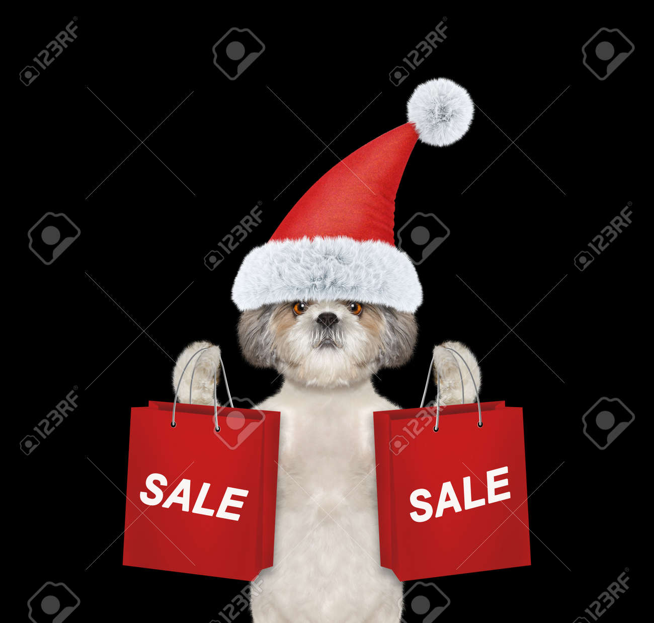 クリスマス パーティー ドレス犬ホールド アップ ショッピング バッグ A 黒の分離 の写真素材 画像素材 Image