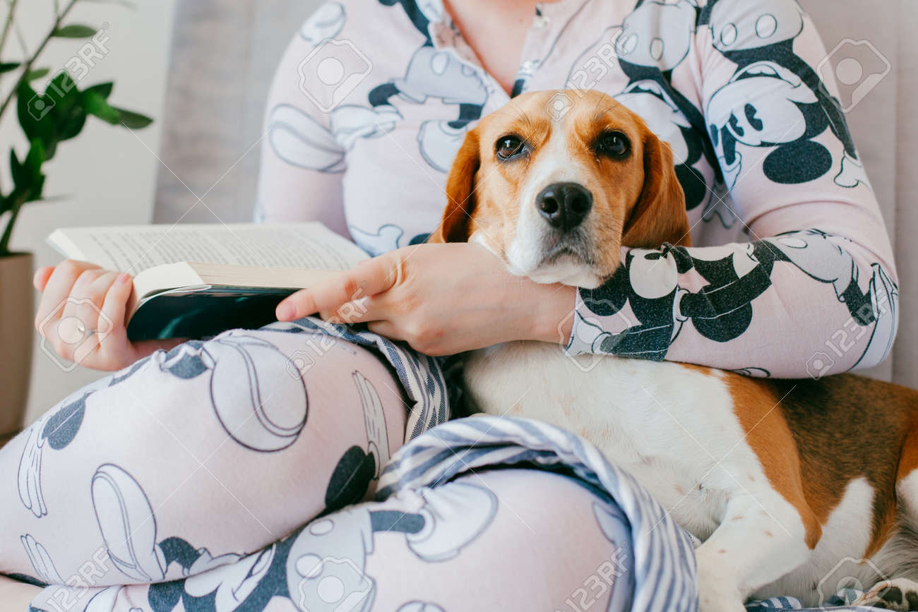 パジャマの女の子は ビーグル子犬犬と家で本を読んでいます ビーグル犬は少女の膝の上 の写真素材 画像素材 Image
