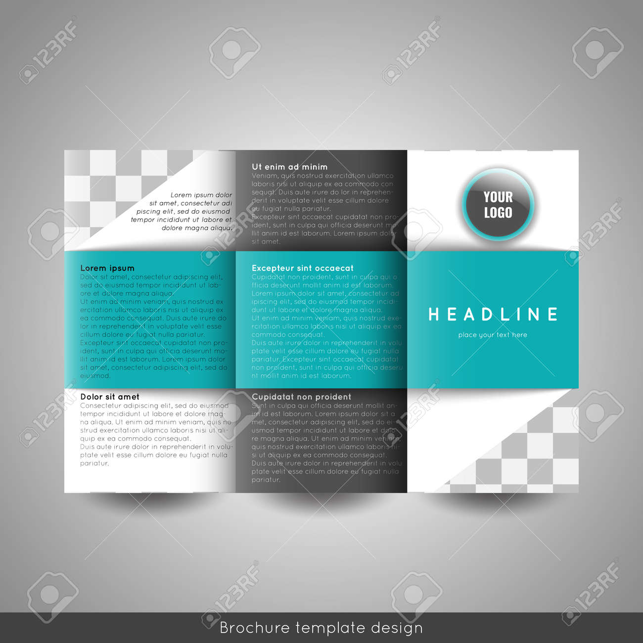 tri fold book report template