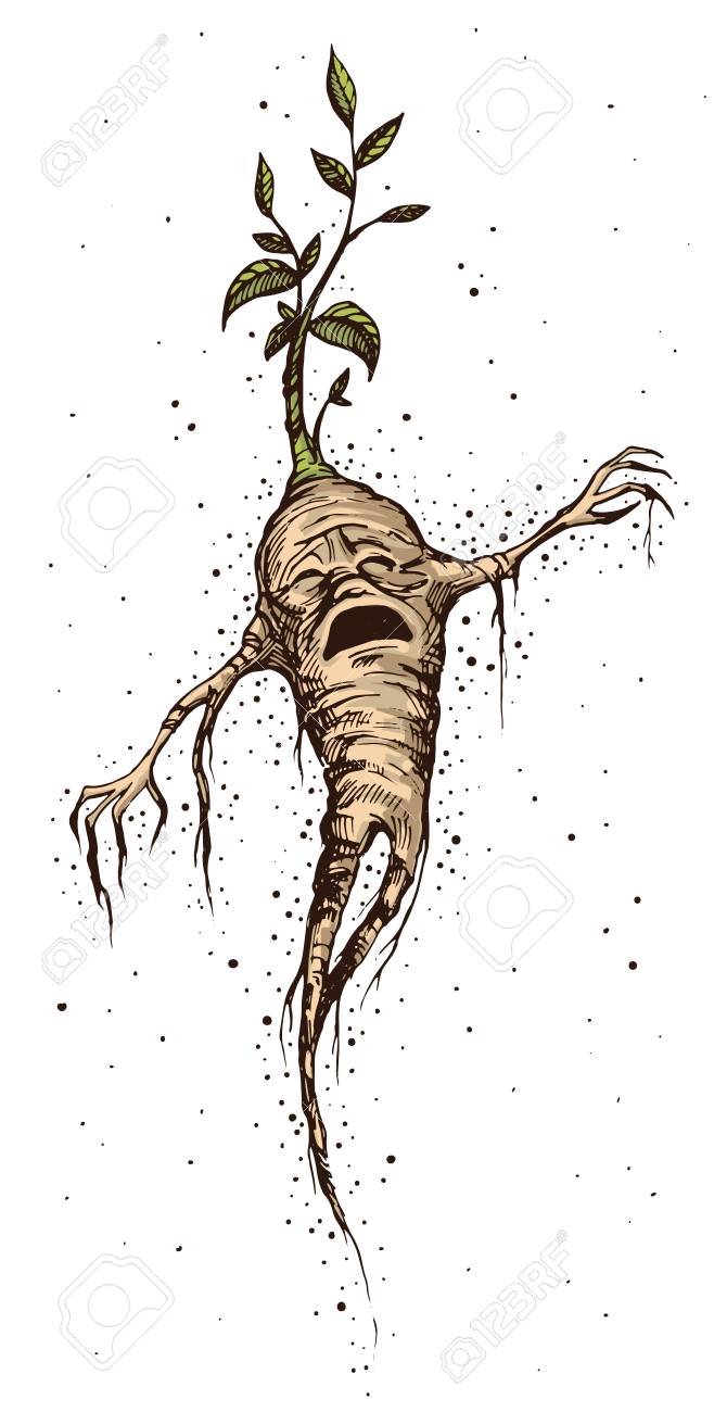 泣くマンドレークの手描きヴィンテージスタイルベクトルイラスト 神秘的 な生き物 マンドレークルート ホマンクルス 錬金術 神話や伝説 魔術 魔術 ハロウィーンのキャラクター のイラスト素材 ベクタ Image 94706653