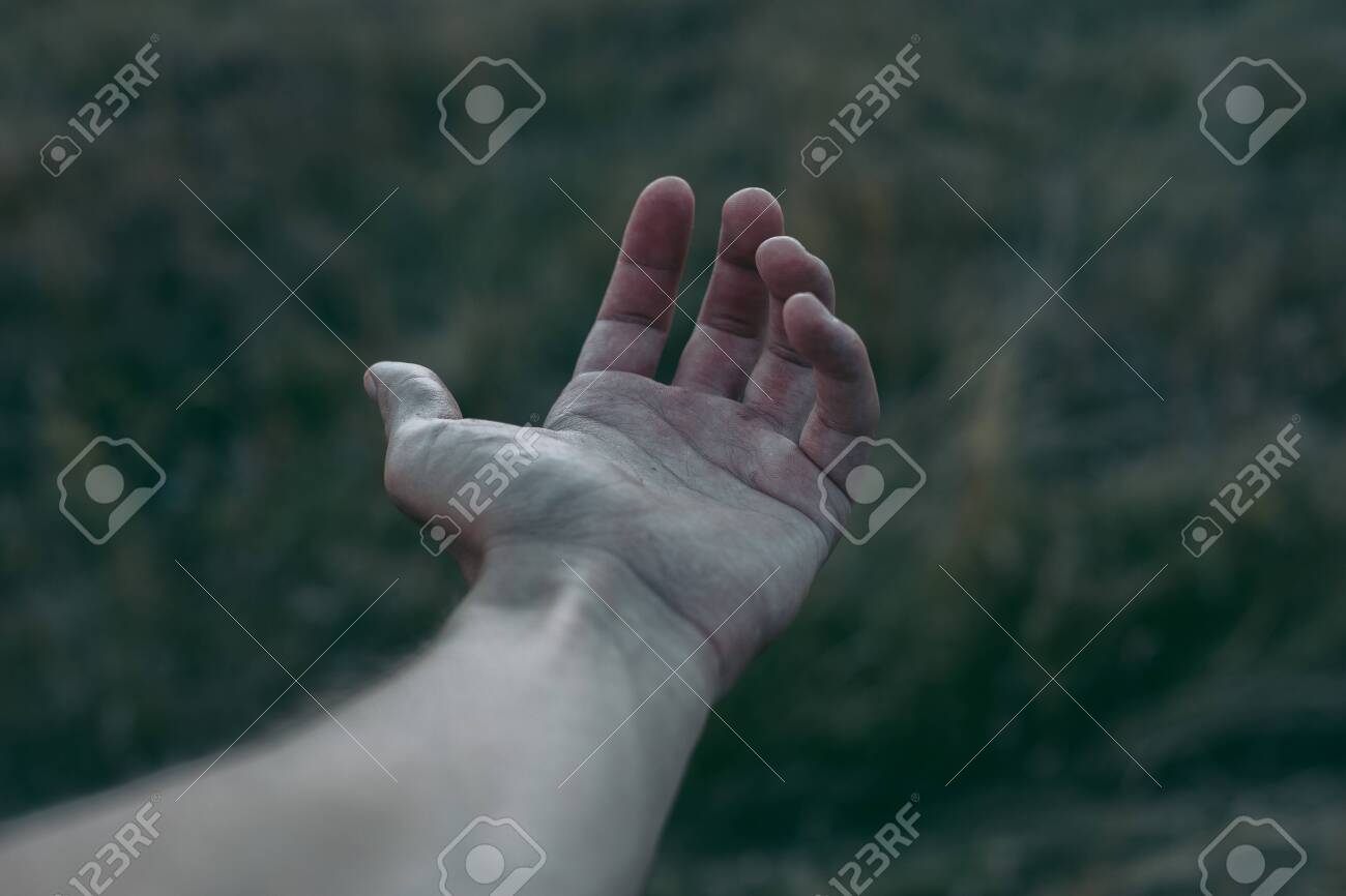 etiam-dictum-ipsum-a-felis