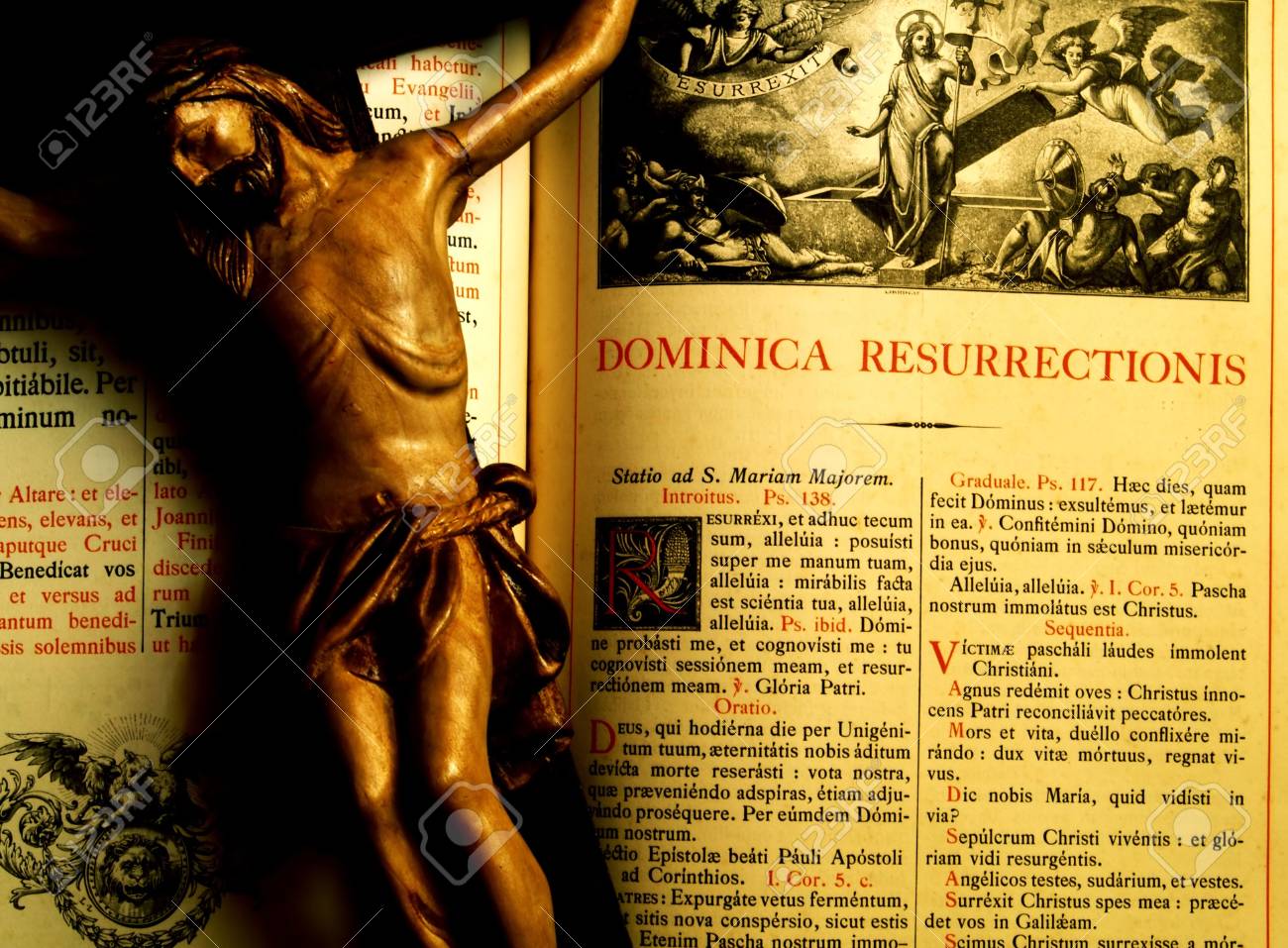 etiam-dictum-ipsum-a-felis