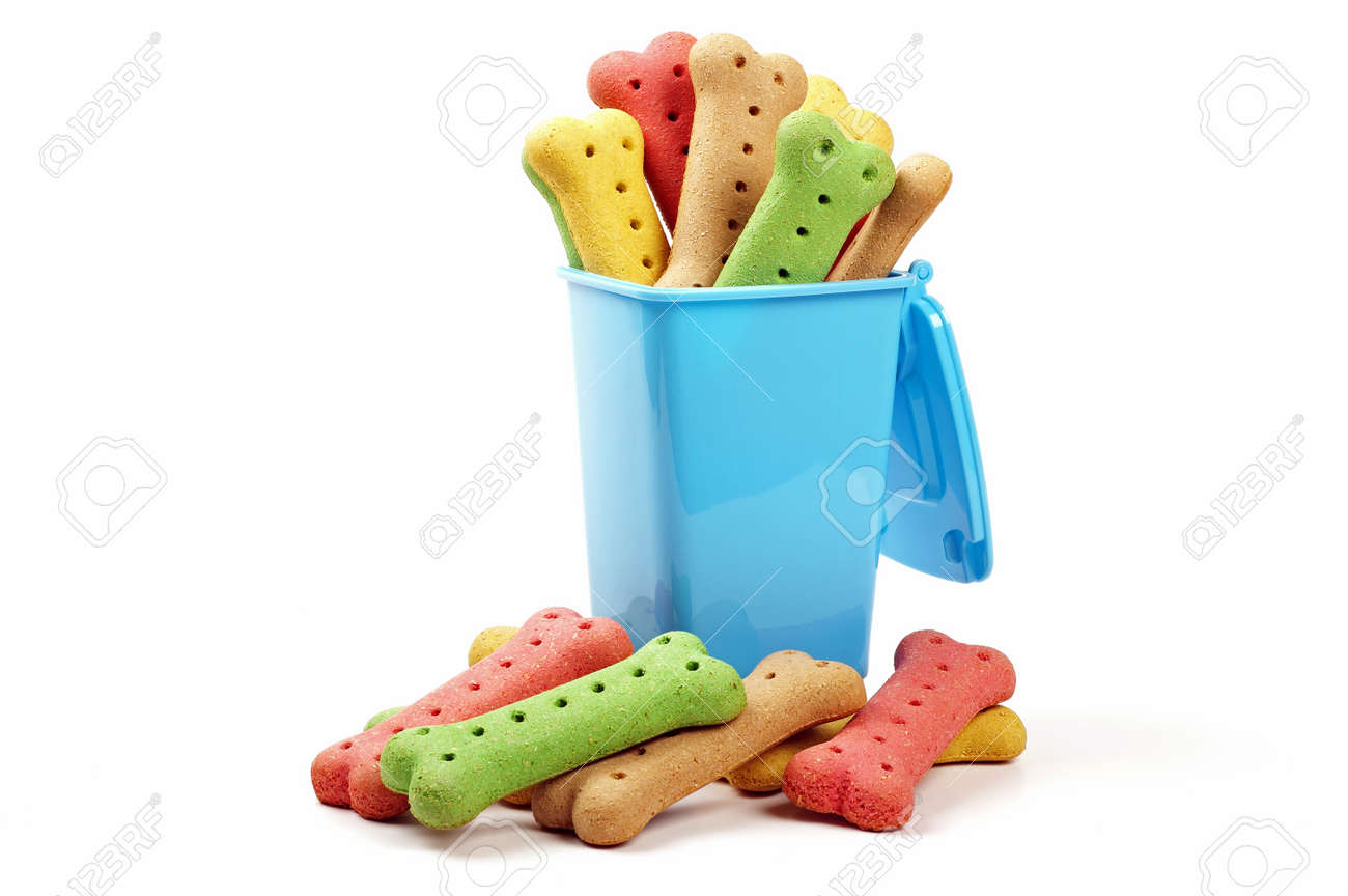 dog biscuit bin
