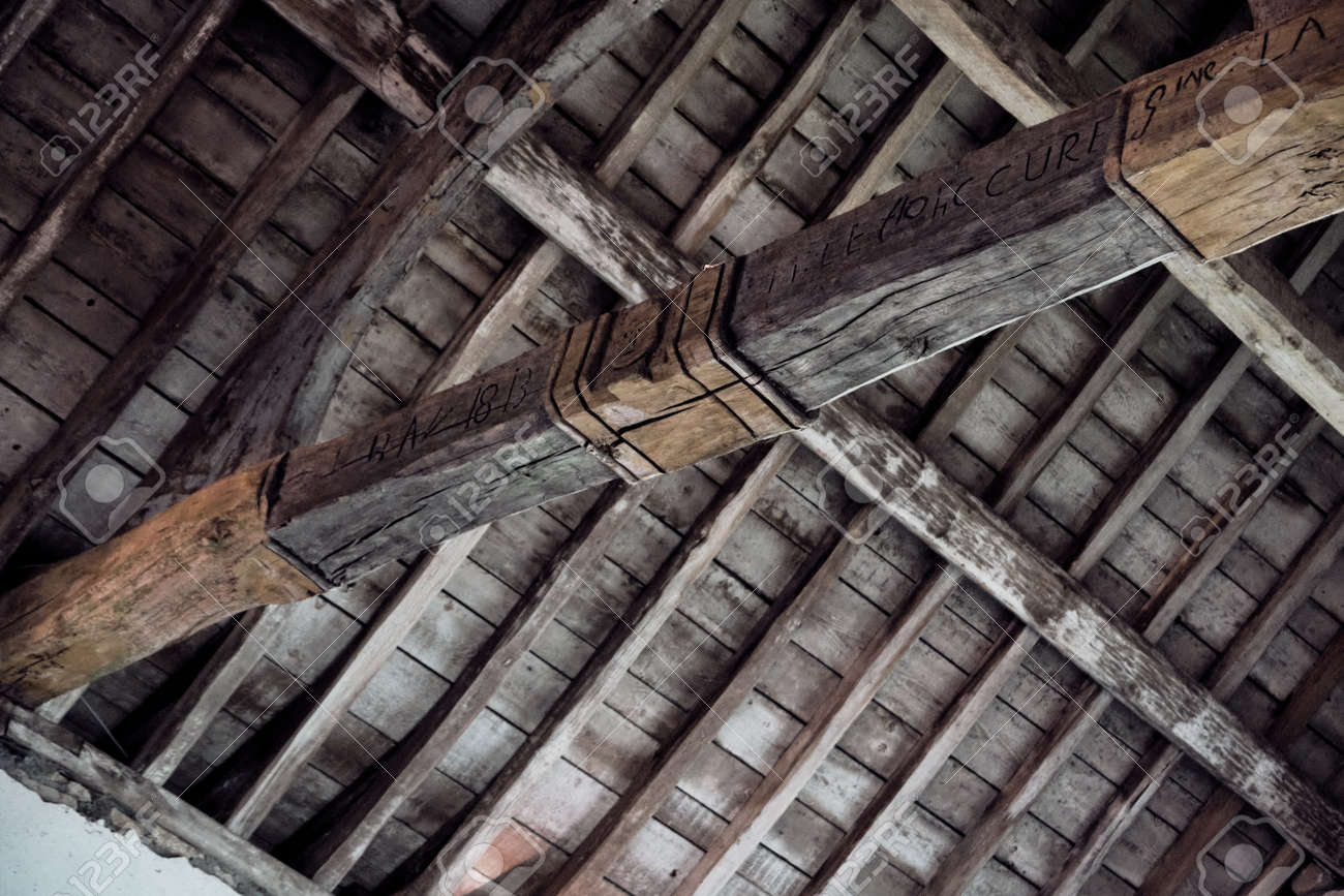 etiam-dictum-ipsum-a-felis