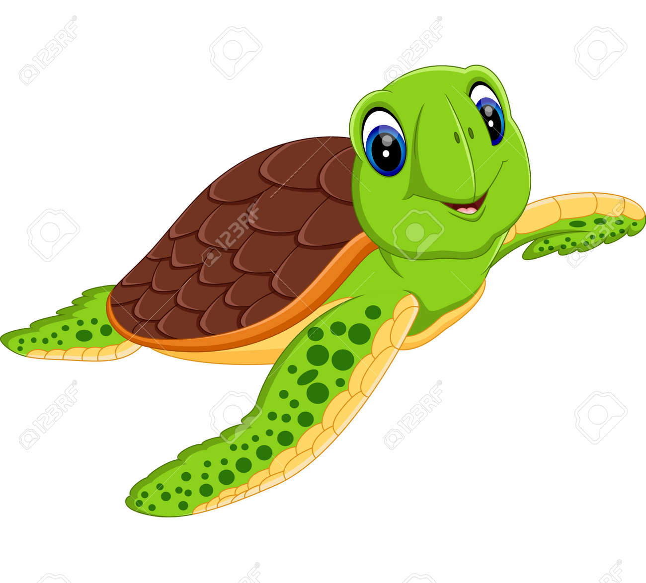 Cute turtle Cute turtle