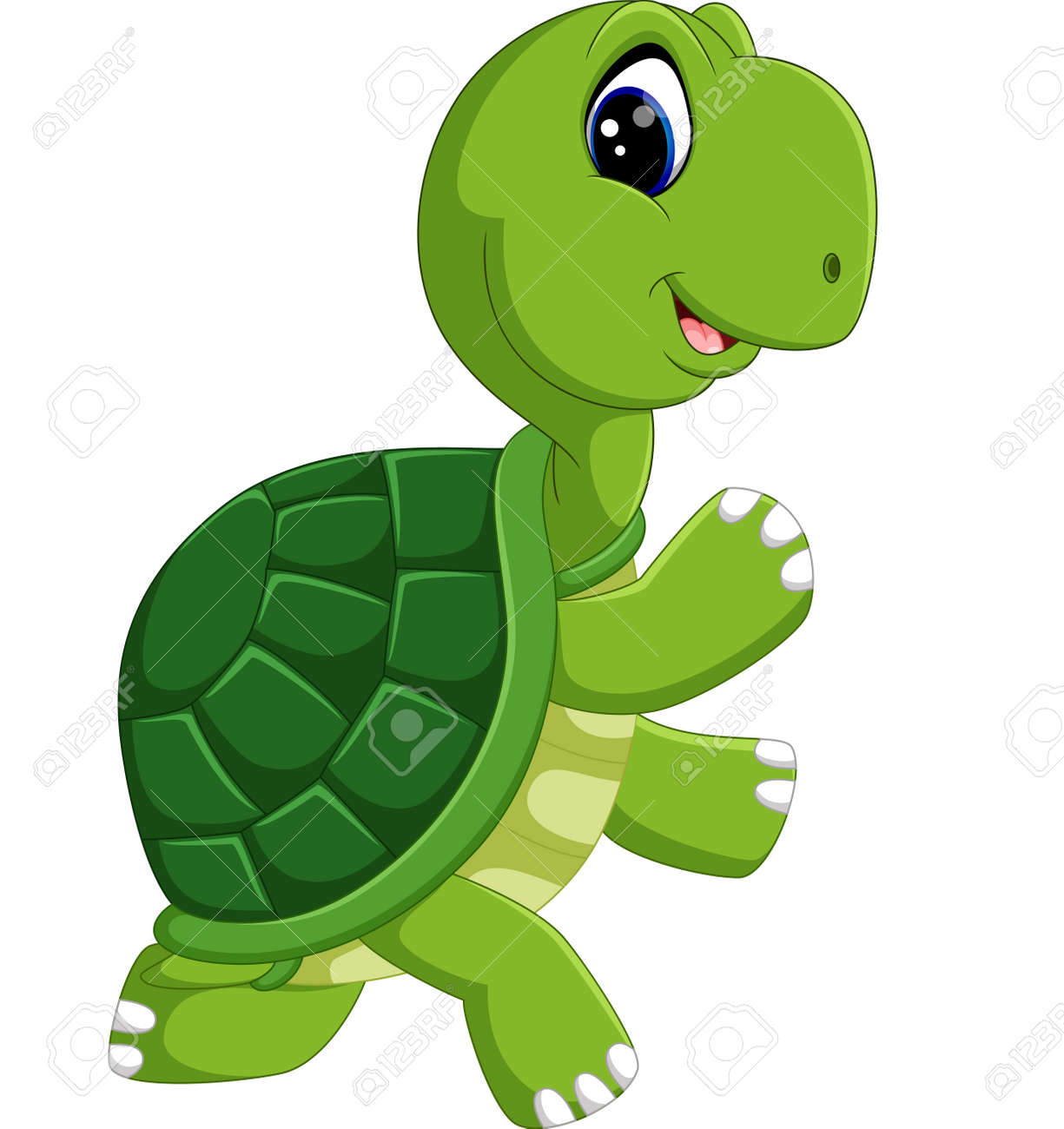 cute turtle cartoon stock photo picture and royalty free image