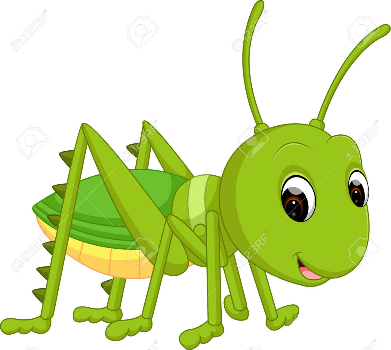 cartoon funny cricket royalty free cliparts vectors and stock
