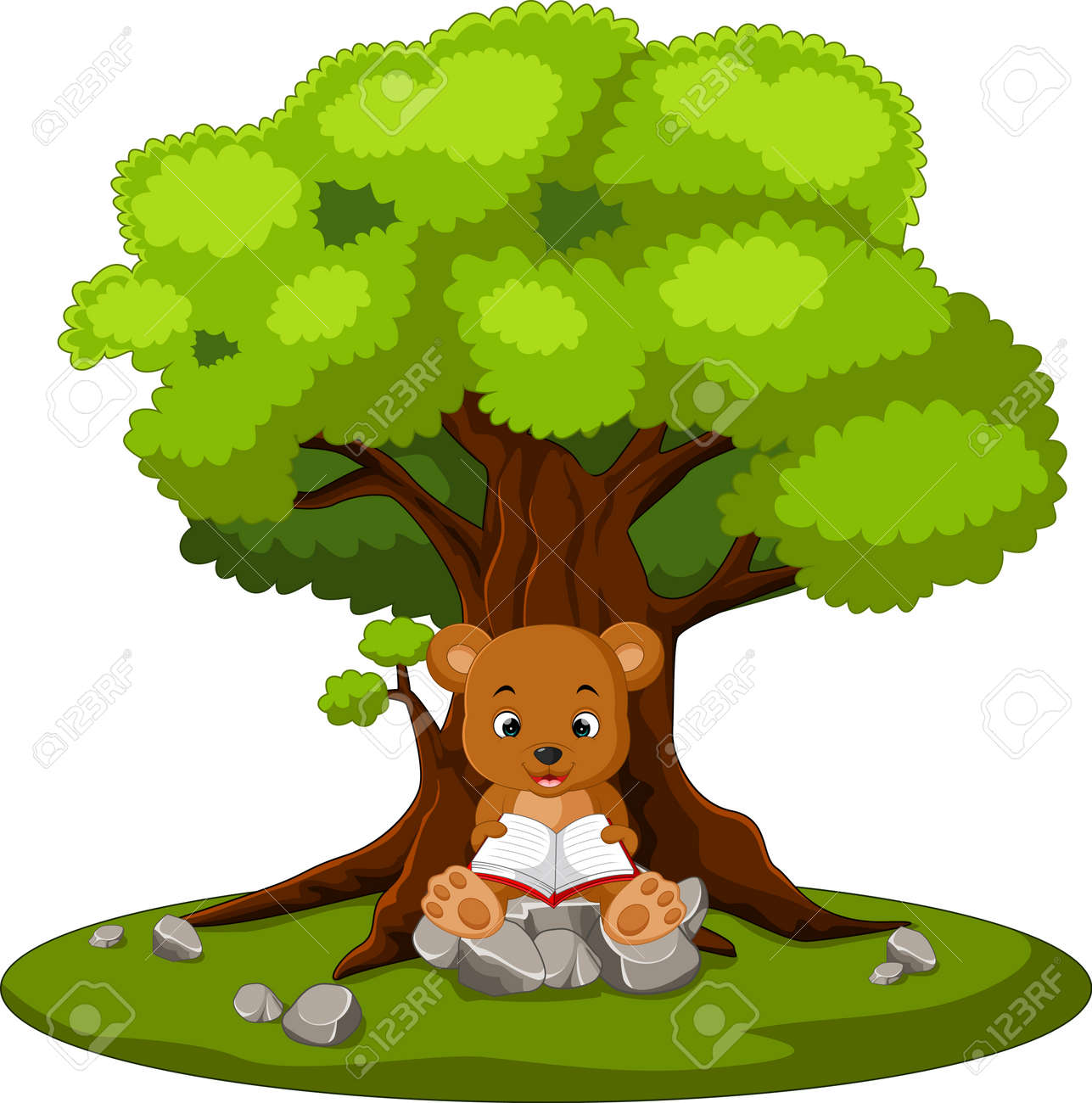 bear reading book and sitting on the stone stock photo picture and