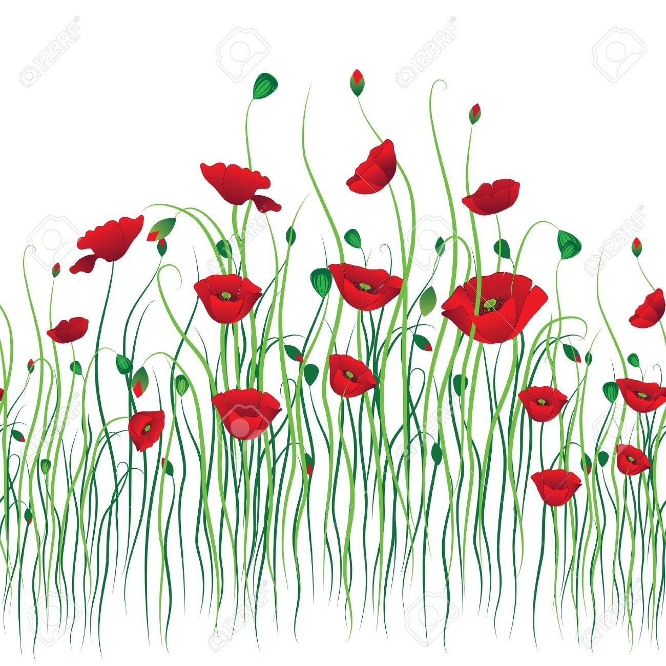 Poppy fond transparent. Vecteur fleur. Art motif de bordure. Floral design vintage. Joli fond d\u0027écran mignon. Féminine en filigrane
