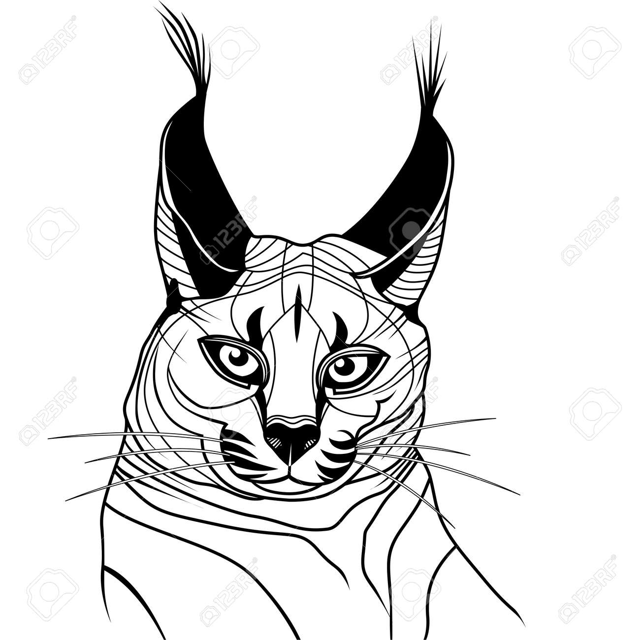 Chat Caracal Chaton Animal Sauvage Croquis Tatouage Symbole Illustration T Shirt Vecteur Icone Conception De Plongee Clip Art Libres De Droits Vecteurs Et Illustration Image
