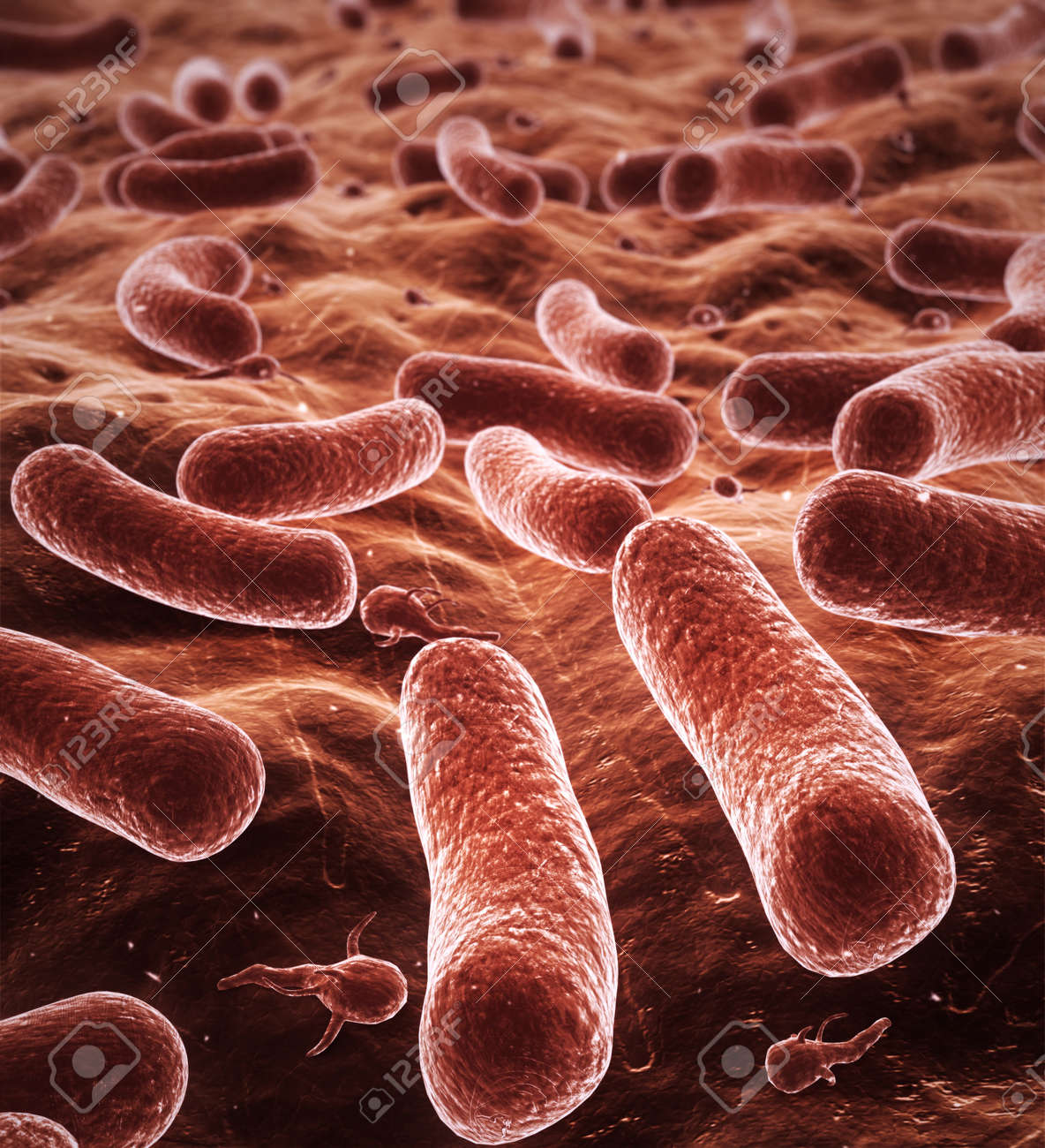 high quality 3d drawing bacteria - 9371883 high quality 3d drawing bacteria - 9371883