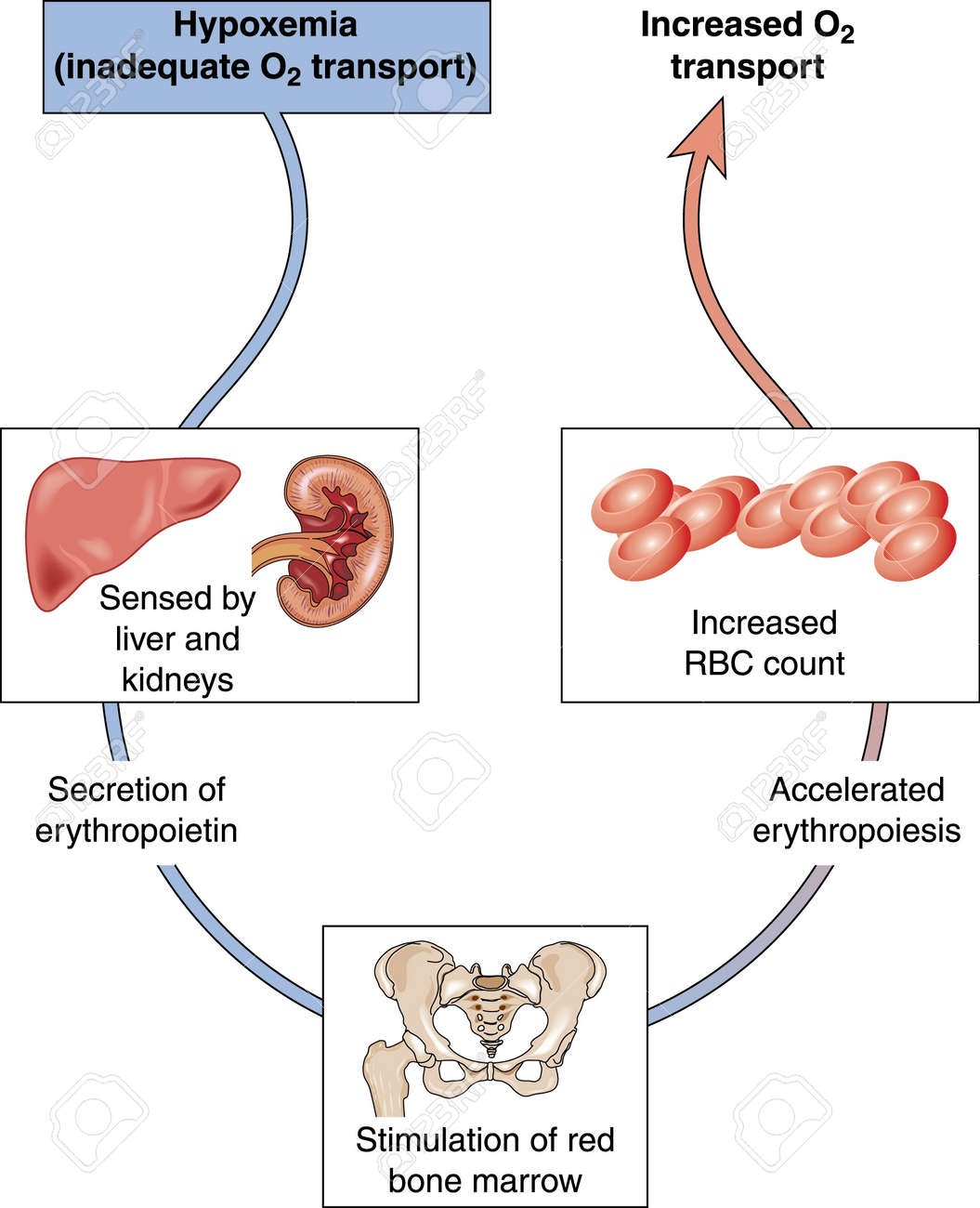 hypoxemia