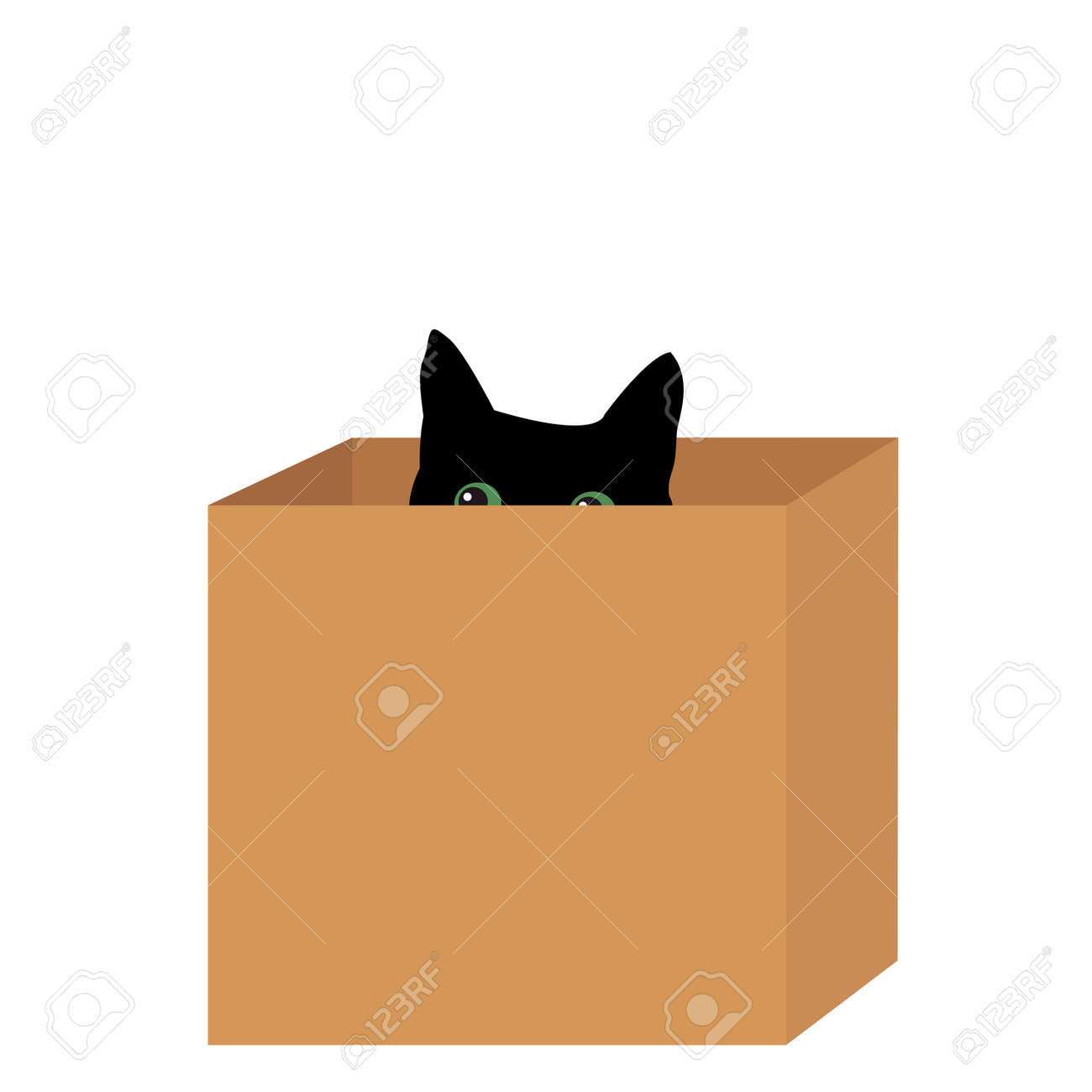 cat hiding box