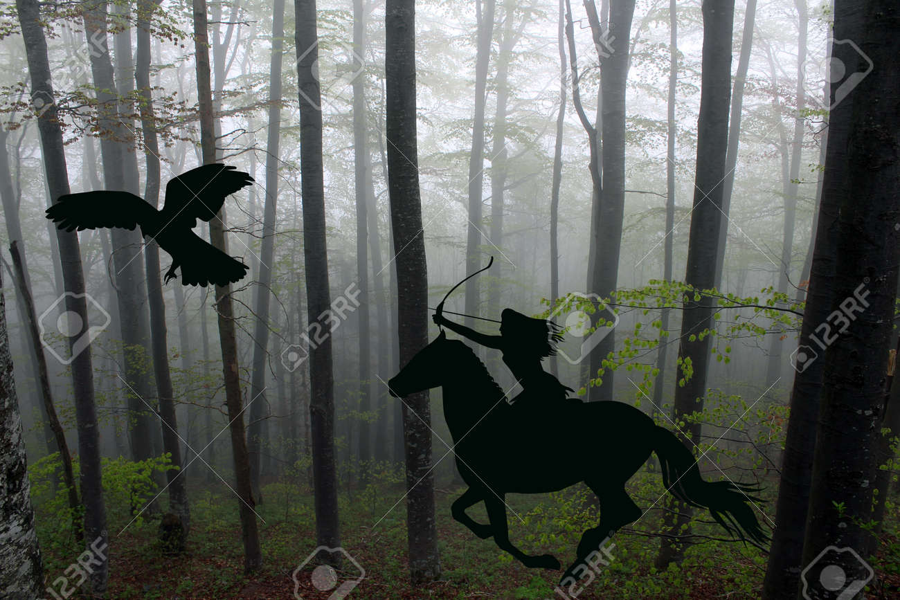 弓と矢で馬に乗るアマゾンの戦士の女性のシルエット の写真素材 画像素材 Image