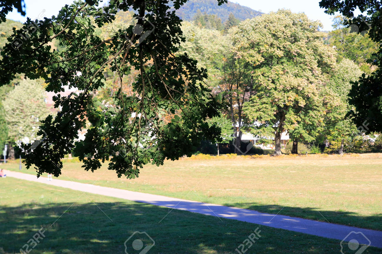 Famous Lichtentaler Allee With Cycle Path Stream Oos And Strollers Stock Photo Picture And Royalty Free Image Image 109723361