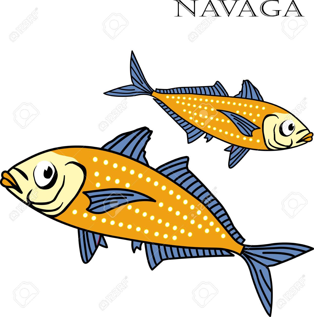 Nagava Ilustracion Vectorial De Dibujos Animados De Color Peces Nagava Peces Aislados En El Fondo Blanco Ilustraciones Vectoriales Clip Art Vectorizado Libre De Derechos Image 58040019
