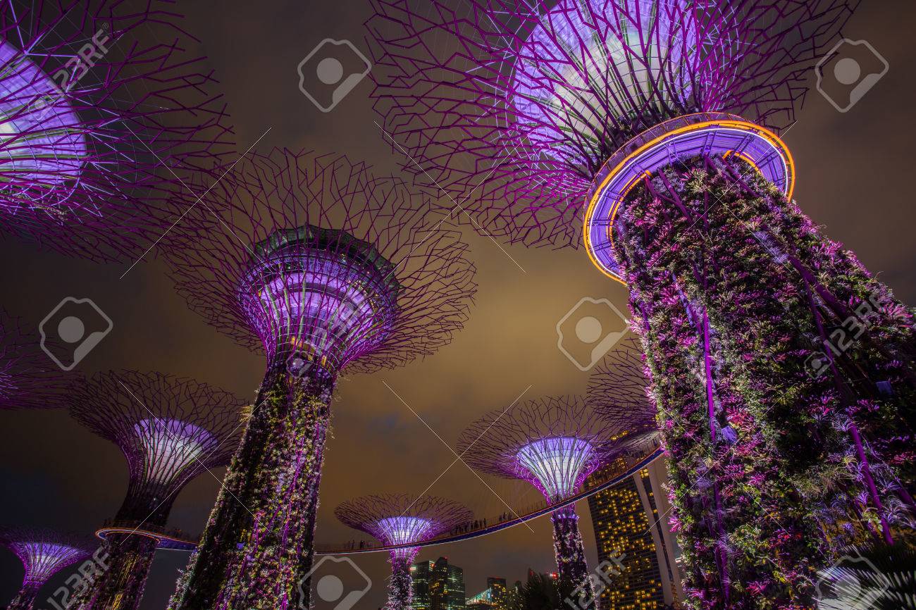 Marina Bay Singapore March 16 2015 Big Tree Light Show Night Marina Bay Singapore March 16 2015 Big Tree Light Show Night
