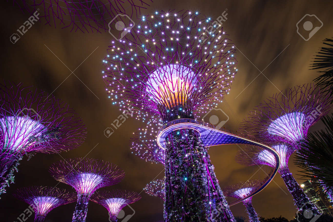 marina bay singapore march 16 2015 big tree light show night
