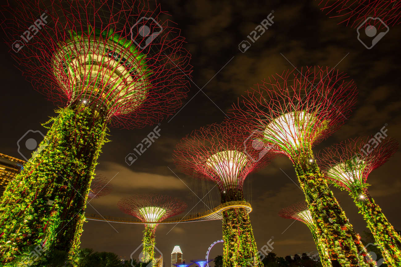 marina bay singapore march 16 2015 big tree light show night