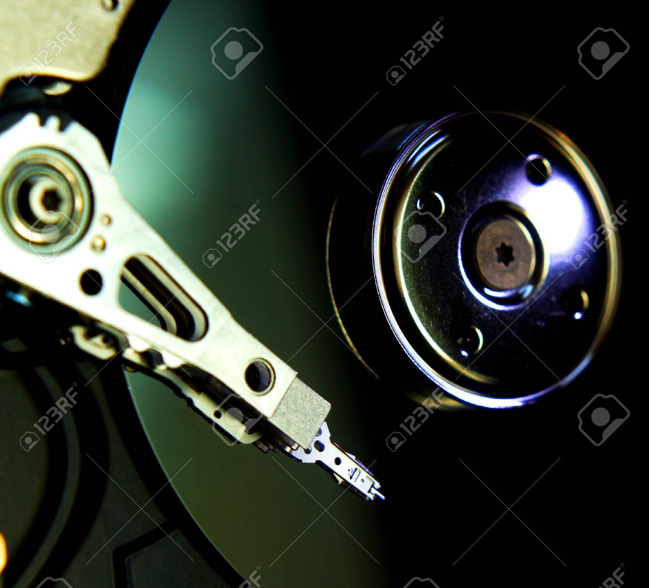 etiam-dictum-ipsum-a-felis